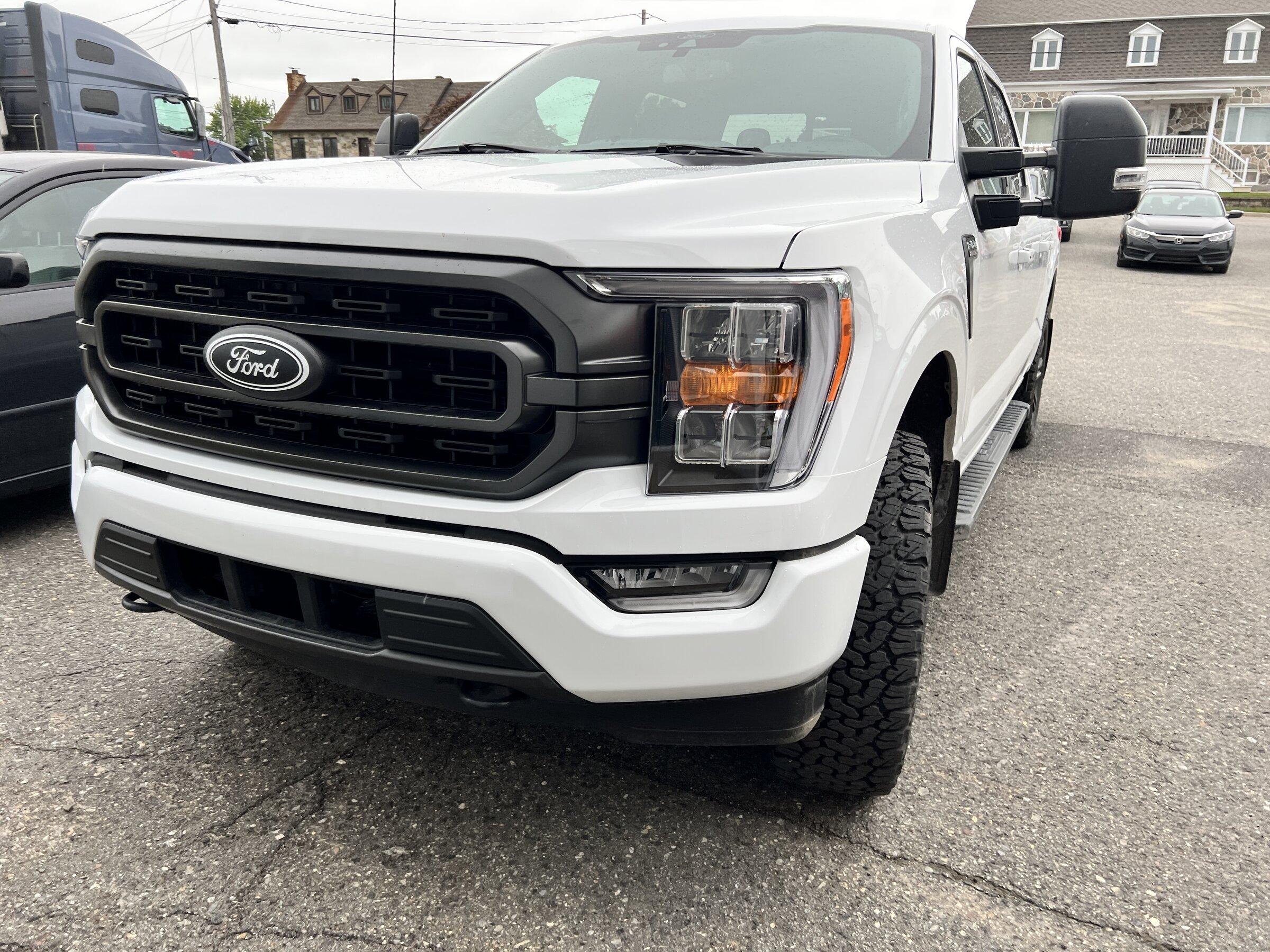 Ford F-150 Emblem overlay - Black/white IMG_1503 2.JPG