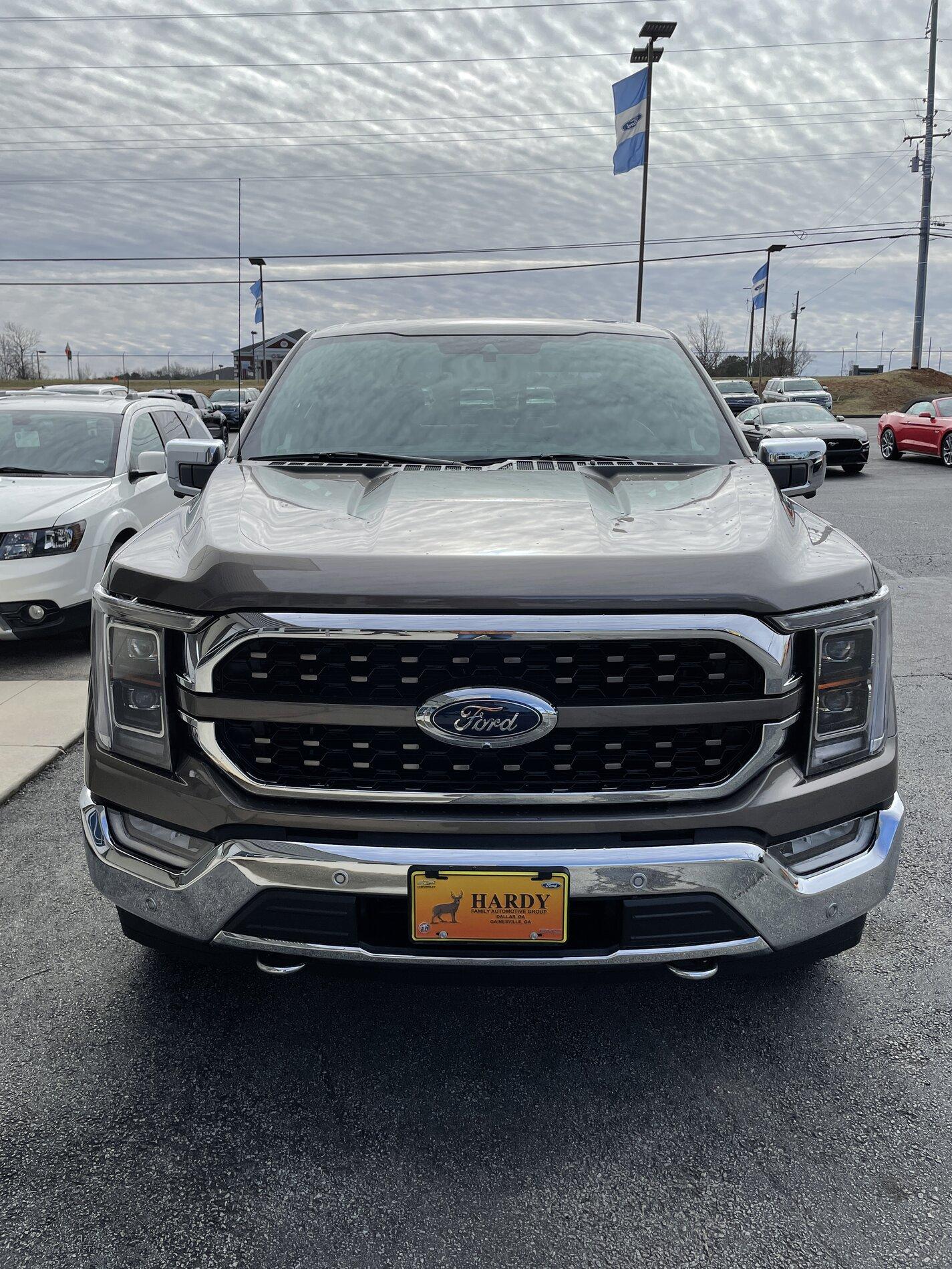 Ford F-150 STONE GRAY F-150 (2021+) Club IMG_1564