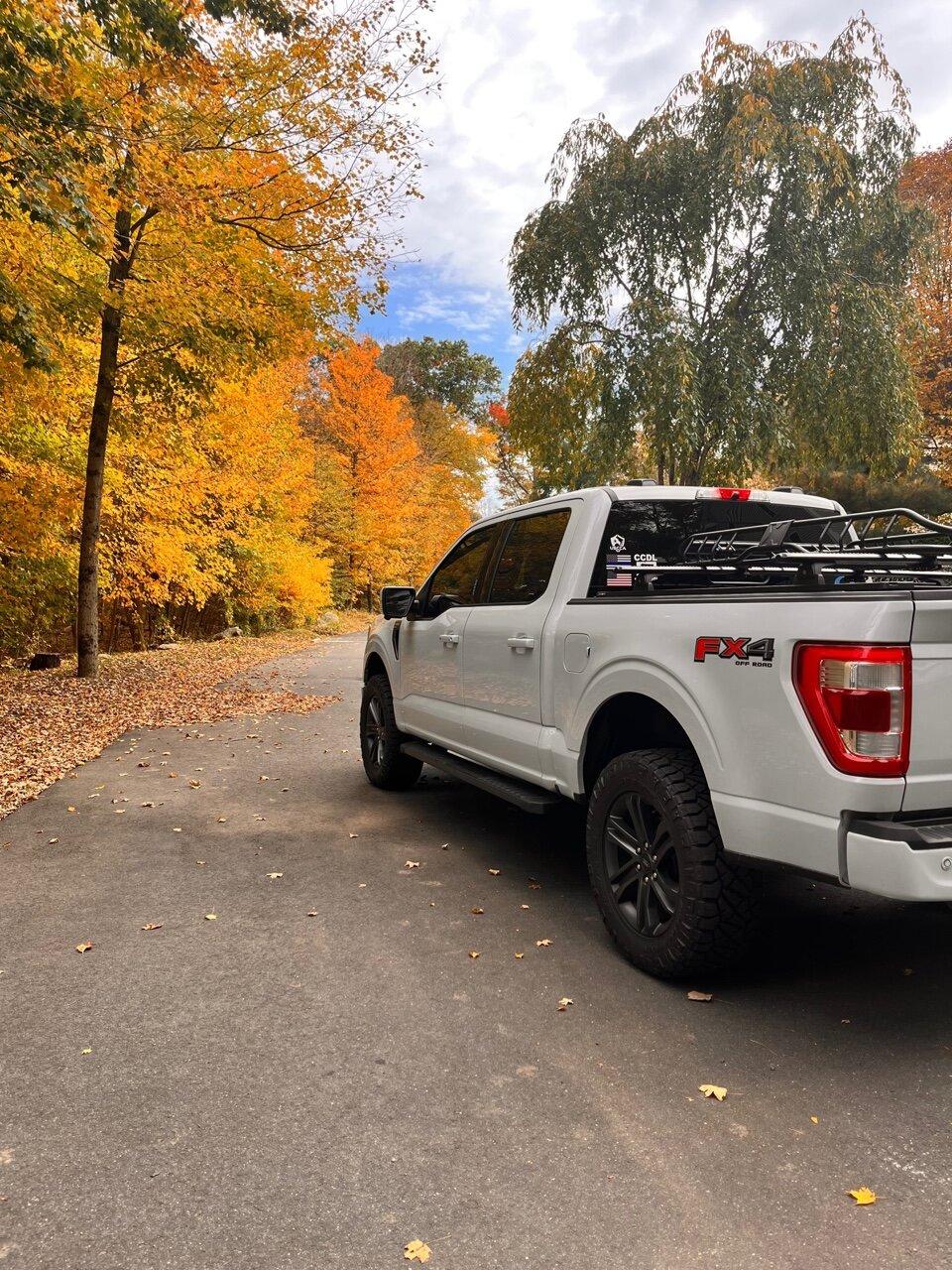 Ford F-150 Random Pic's...'22 Space White Lariat...34's/2"RC Level IMG_1594
