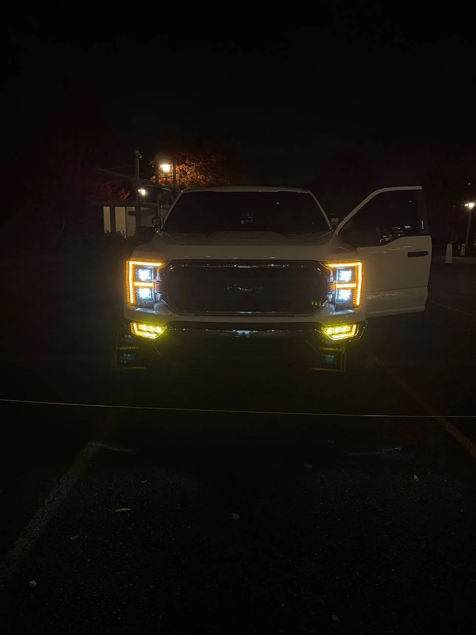 Ford F-150 Diode dynamics Elite Max headlights and fog light issues (UPDATED 9/18/24) IMG_1595
