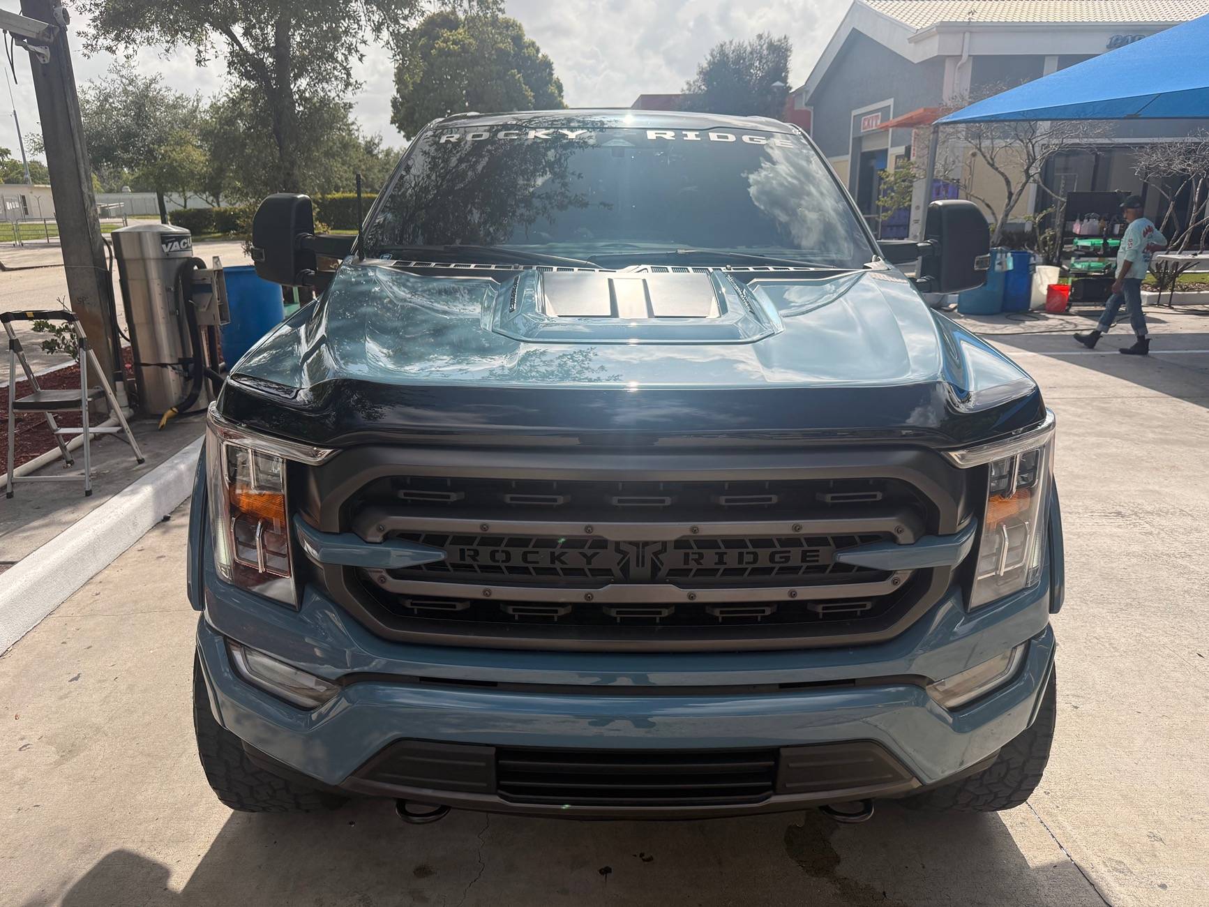 Ford F-150 F150 bug deflector IMG_1727