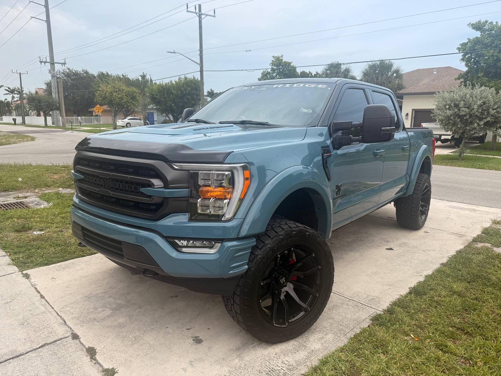 Ford F-150 F150 bug deflector IMG_1816