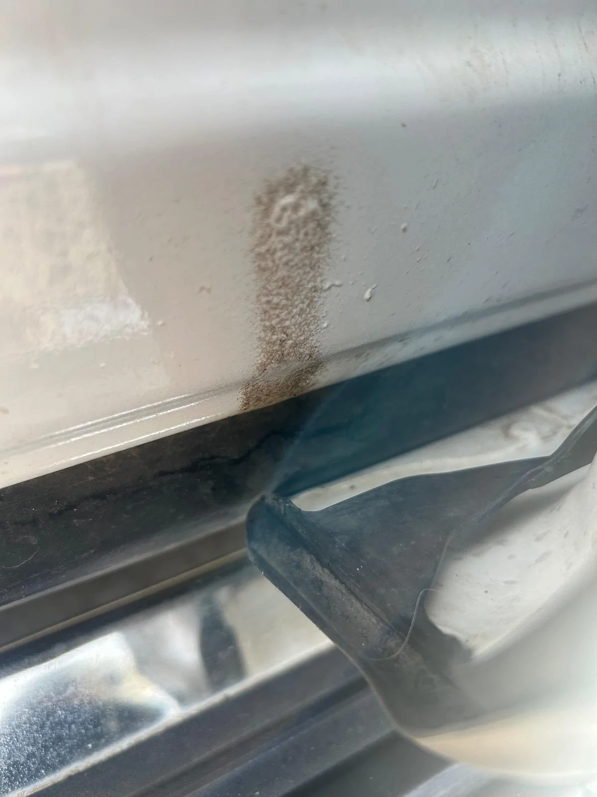 Ford F-150 About done with Ford (Paint Peeling) IMG_1835