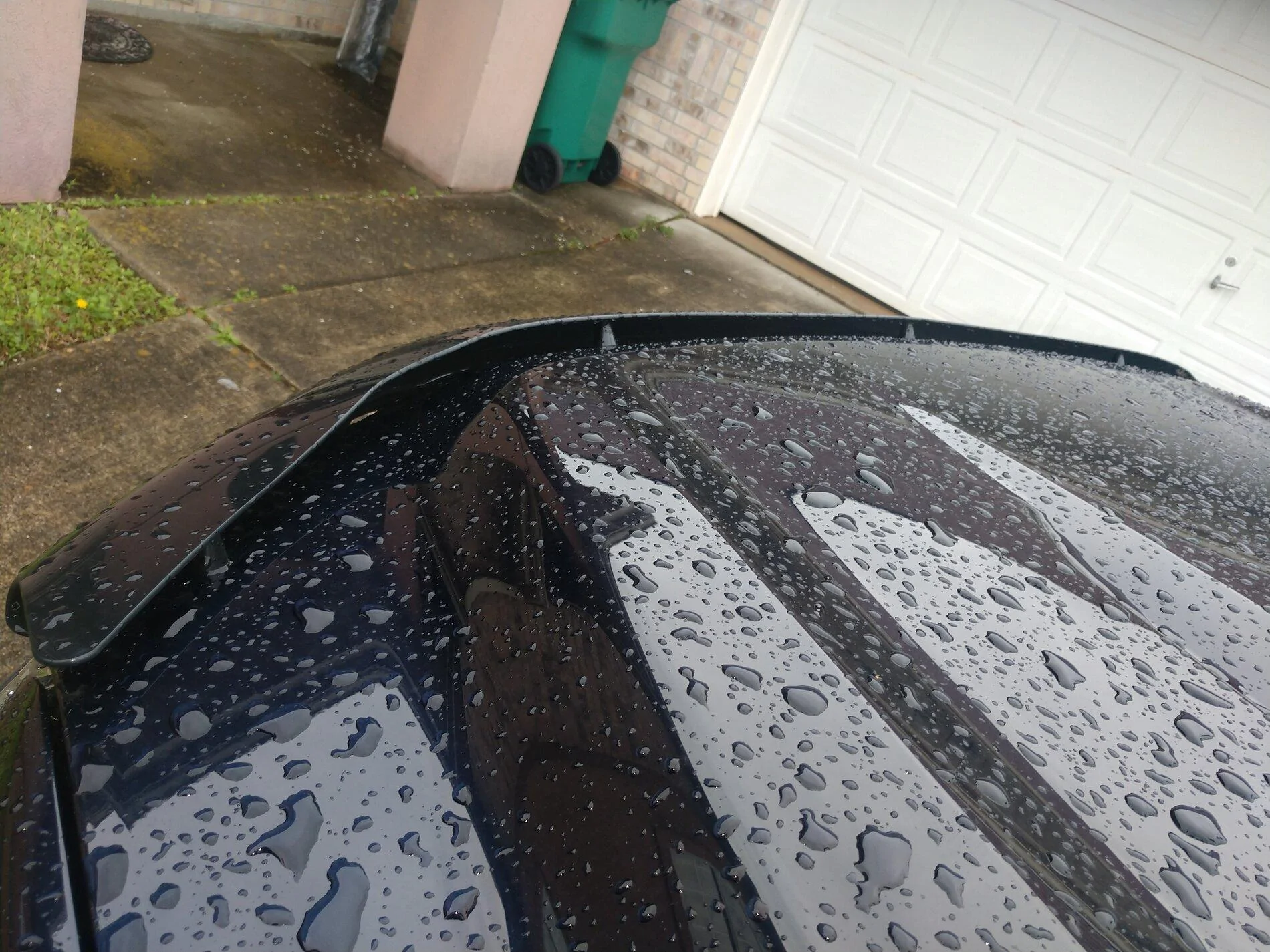 Ford F-150 Hood "Bug" deflector IMG_20210325_153808684