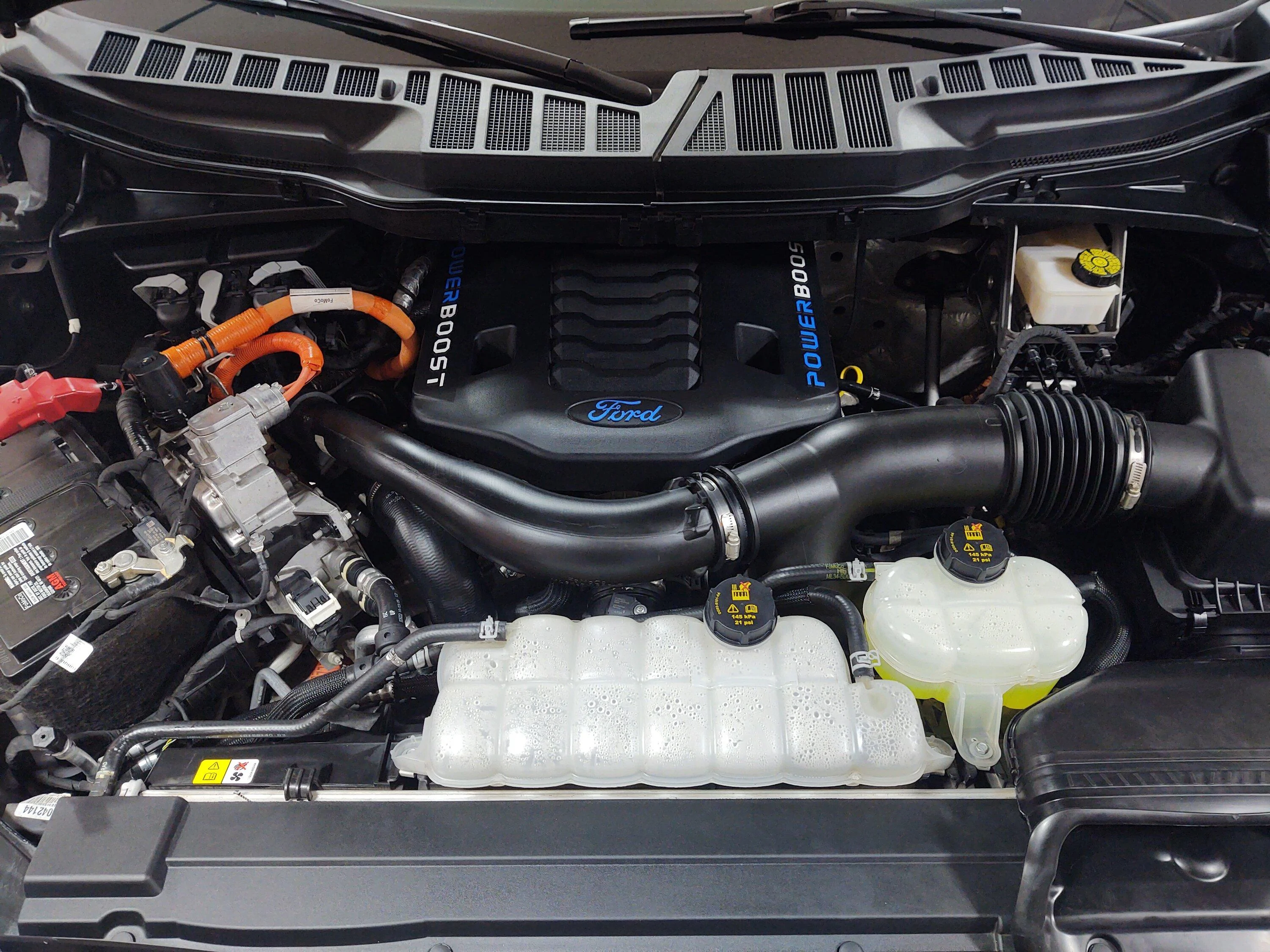 Ford F-150 F150 Limited, what's your build number and color of truck? IMG_20230422_124414863