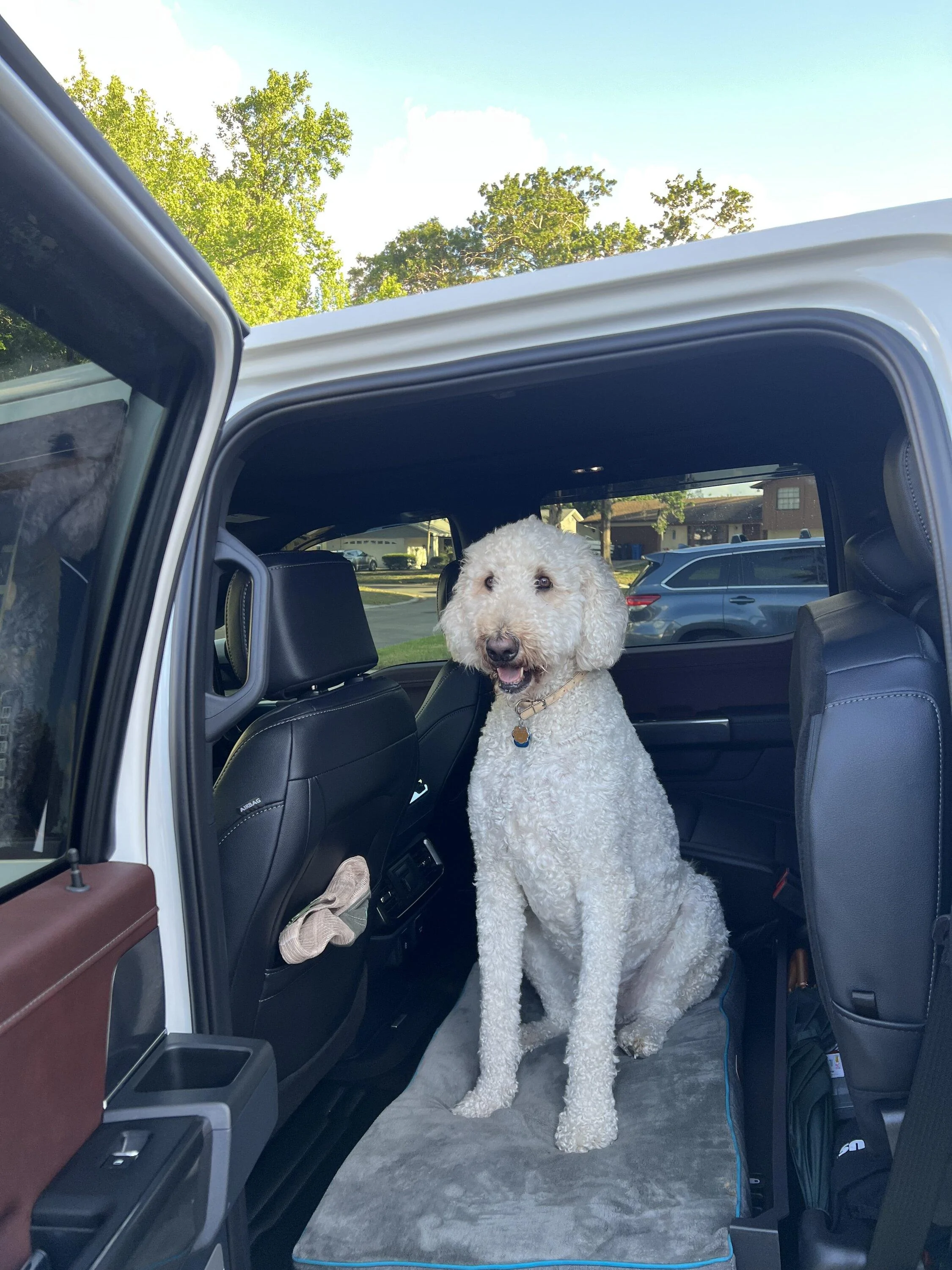 Ford F-150 Interior dog covers/mats IMG_2259