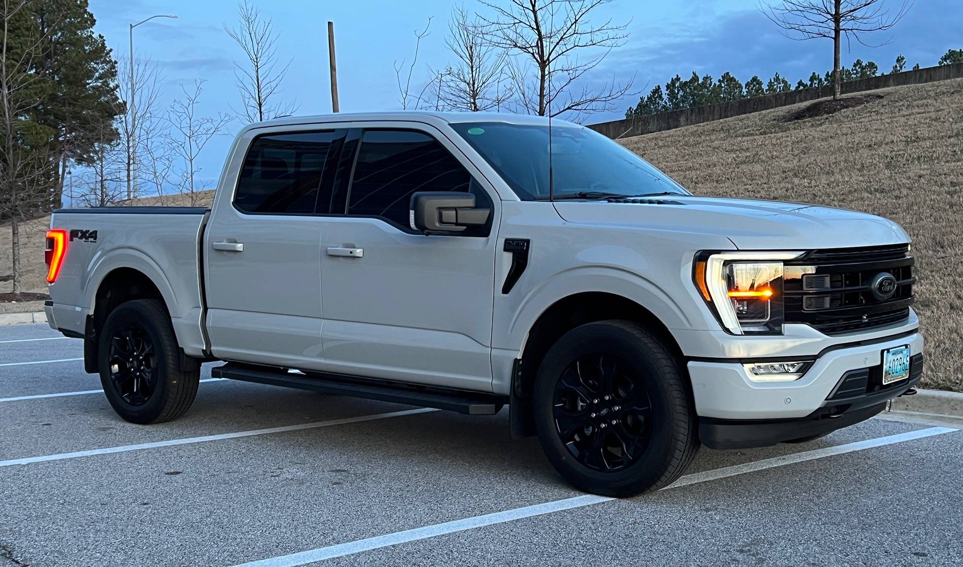 Ford F-150 Color poll IMG_2318