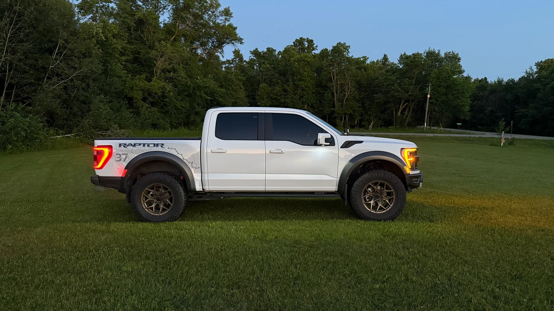 Ford F-150 Bronze wheels? IMG_2406