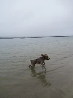 Ford F-150 WET DOG SMELL 🤢 !?!?! IMG_2496