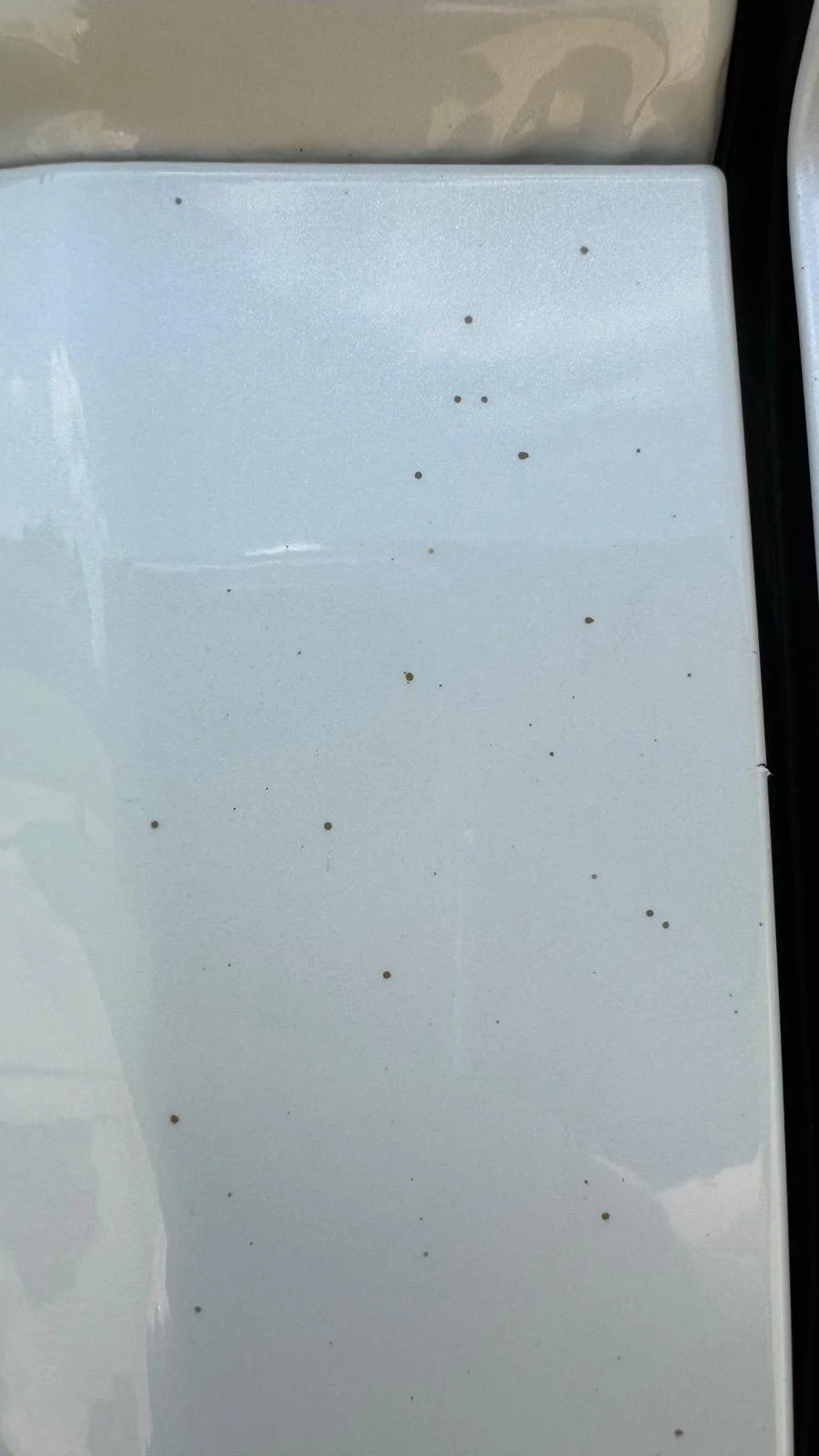 Ford F-150 What is this?? Spots on cab corners IMG_2507