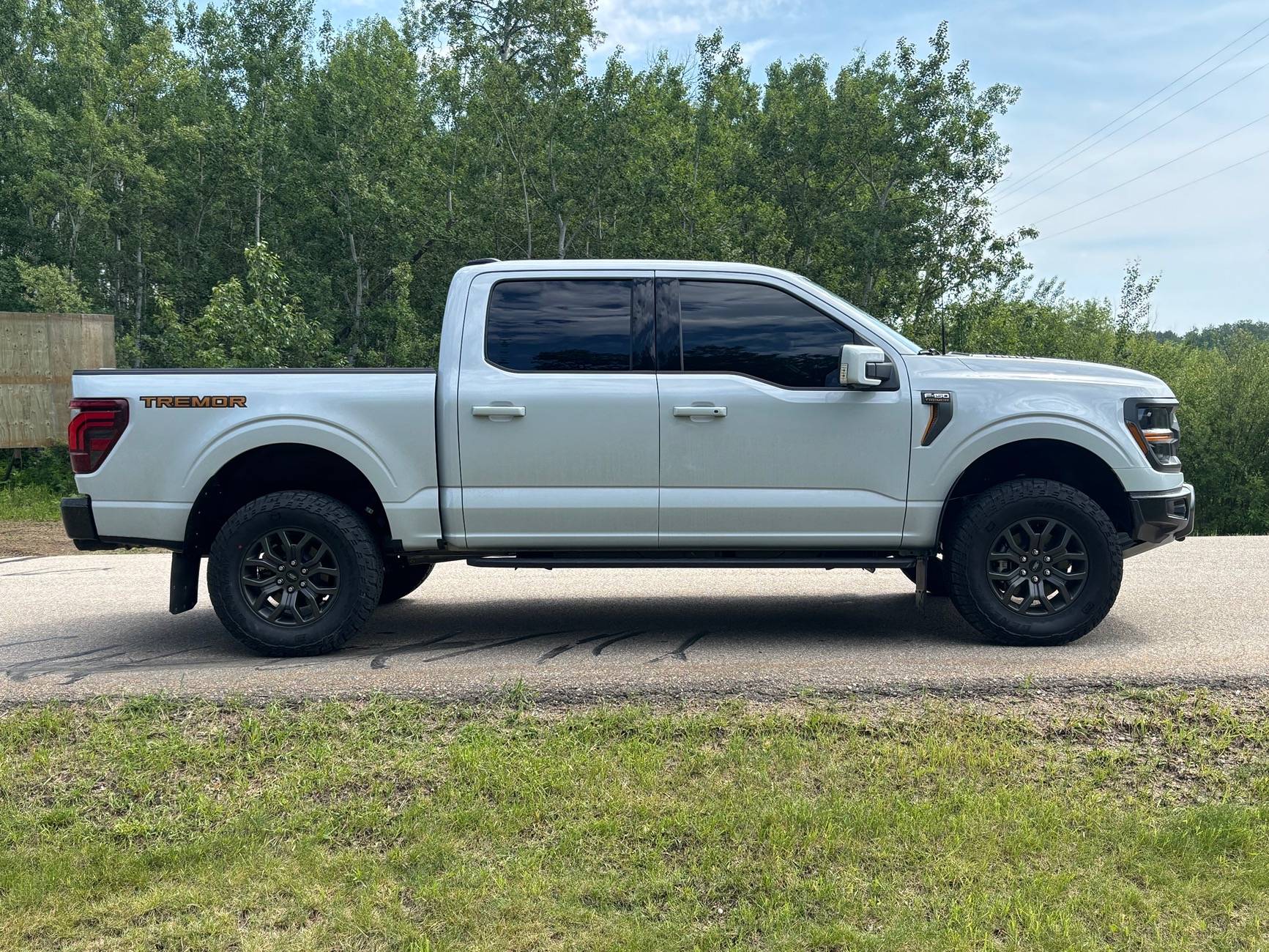 Ford F-150 Tremor Rake - We All See It IMG_2560