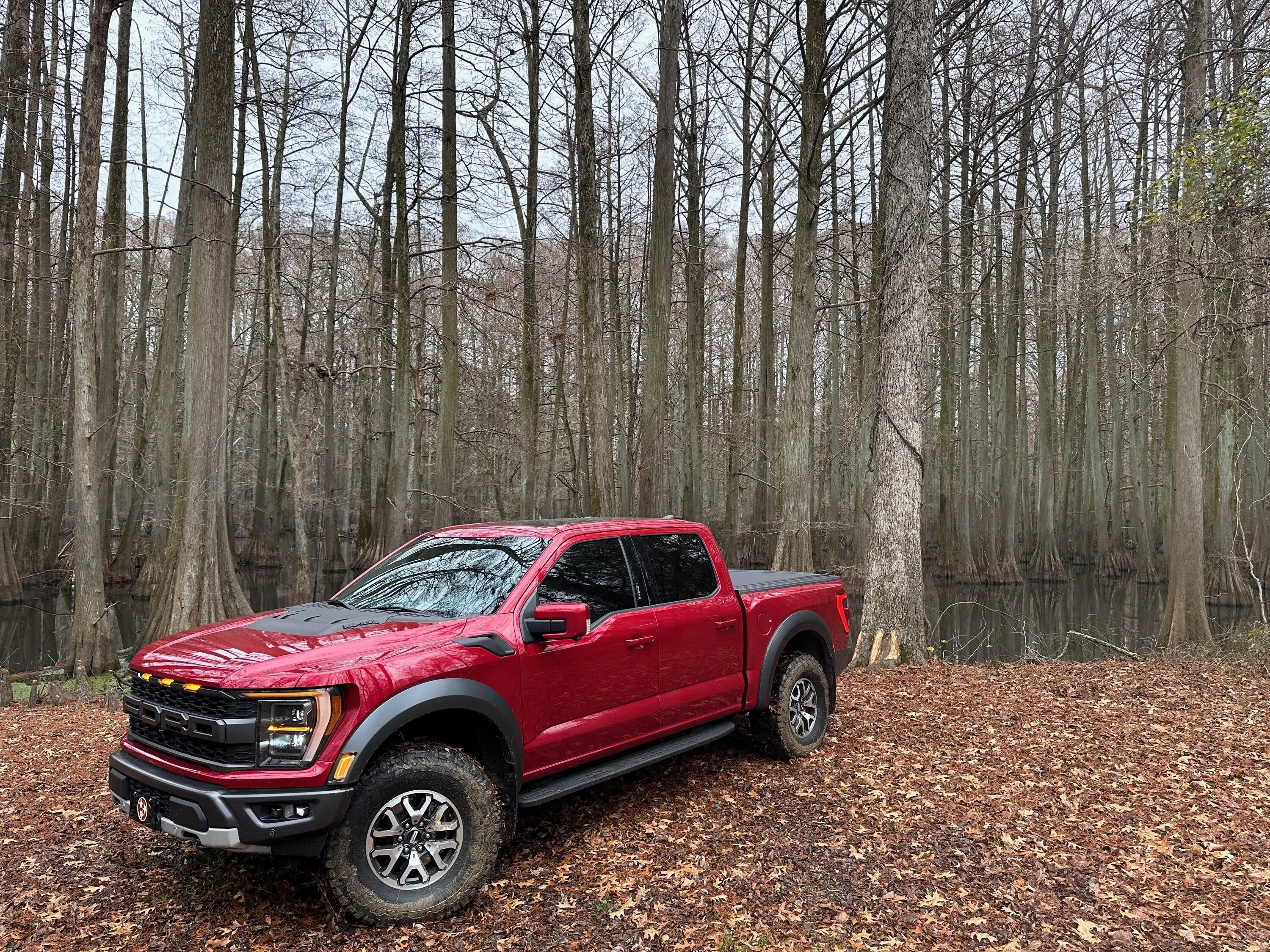 Ford F-150 RAPID RED F-150 (2021+) Club IMG_2571