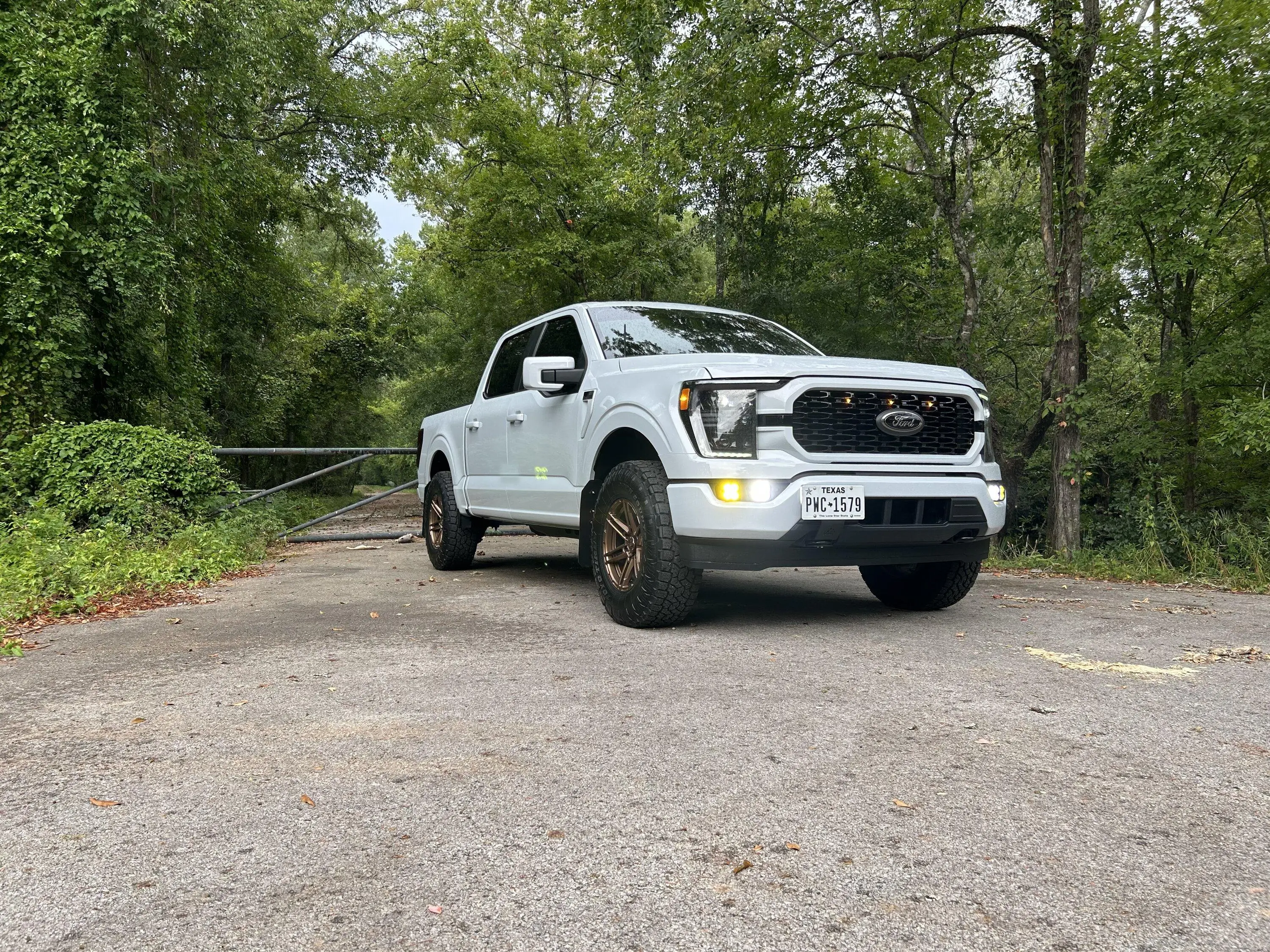 Ford F-150 Diode dynamics Elite Max headlights and fog light issues (UPDATED 9/18/24) IMG_2856