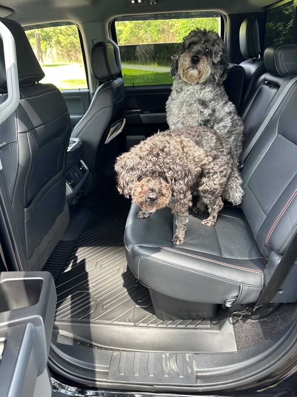 Ford F-150 I Won 3Wliners Truck Bed Mat Giveaway IMG_2996