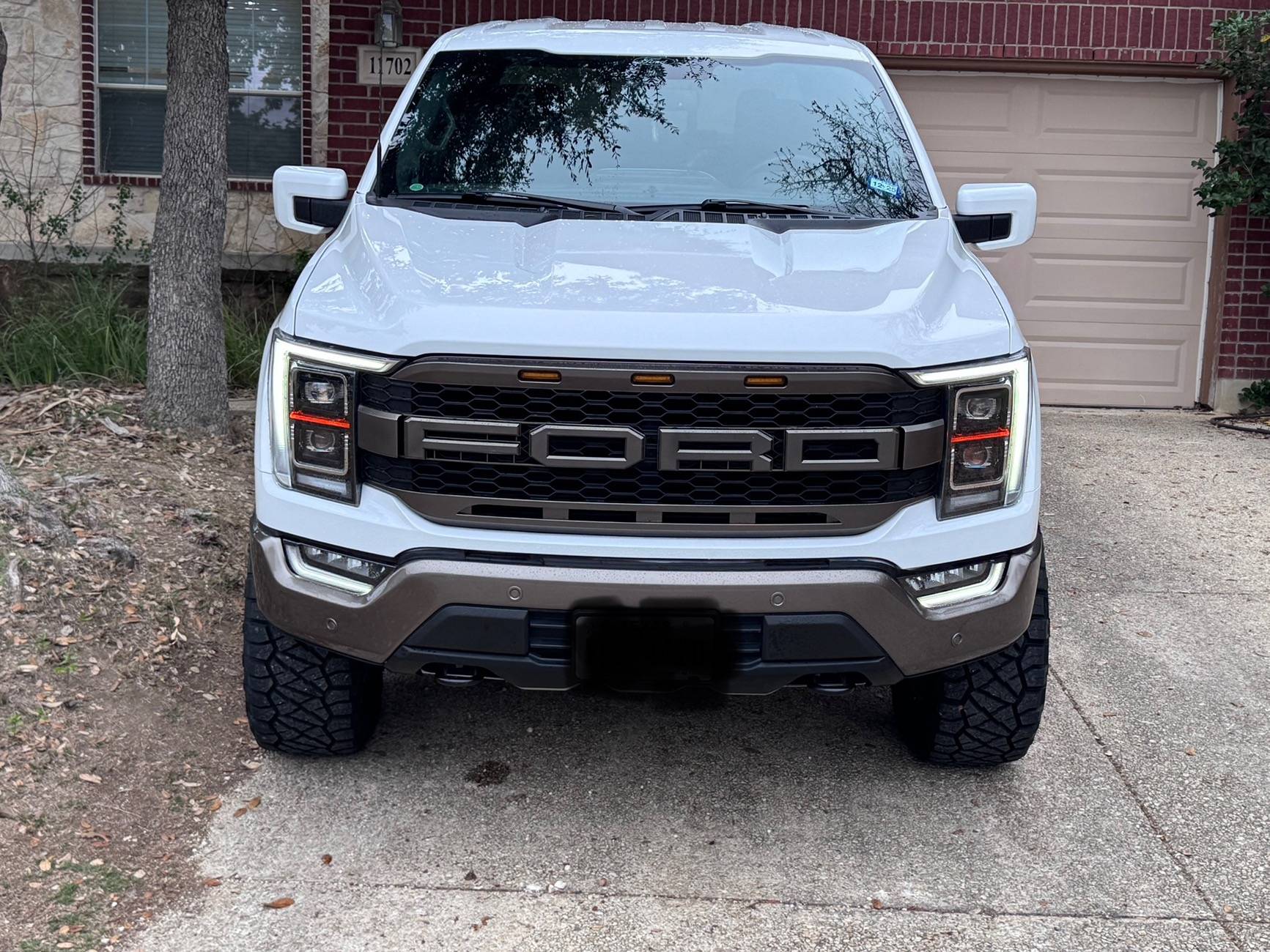 Ford F-150 New Grille IMG_3183