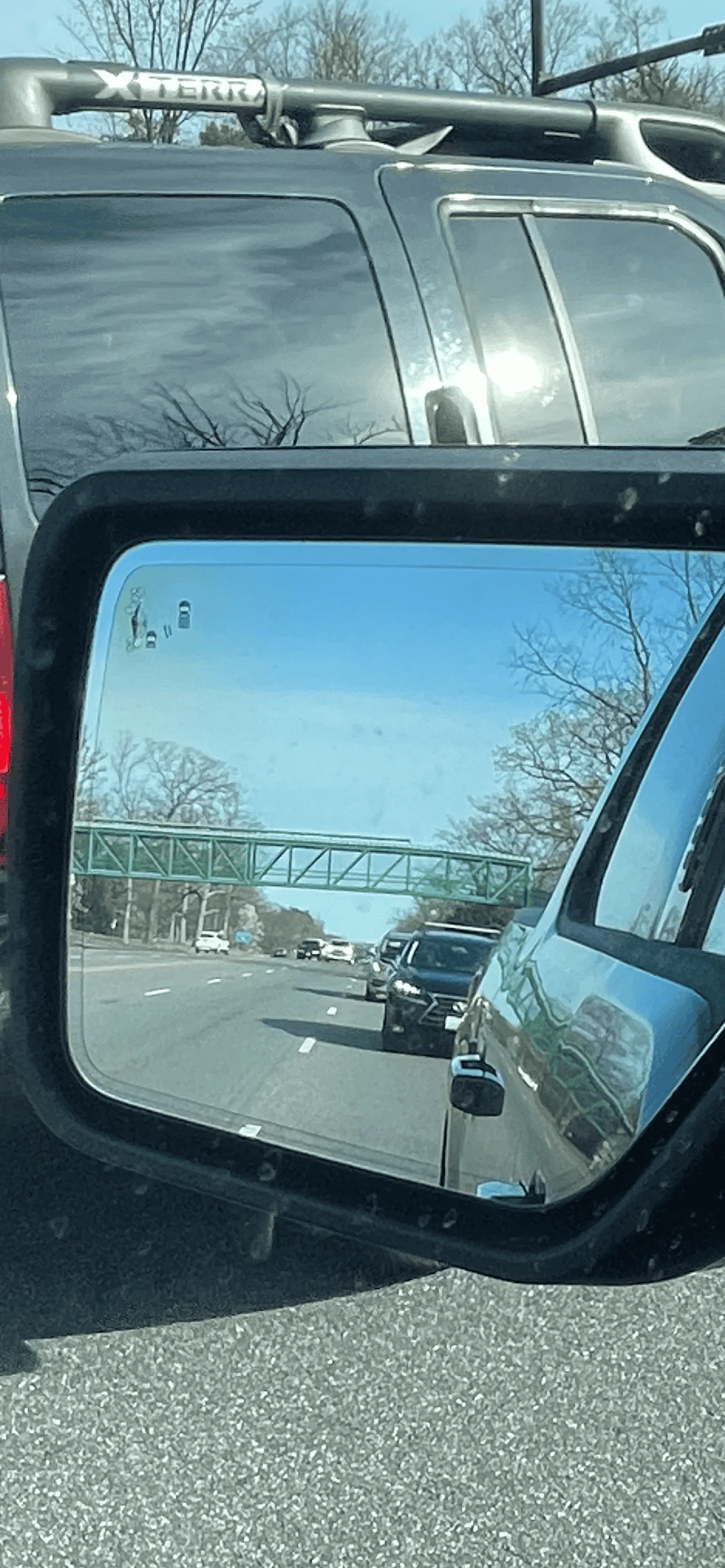 Ford F-150 Side mirror bubbling/ burning IMG_3377