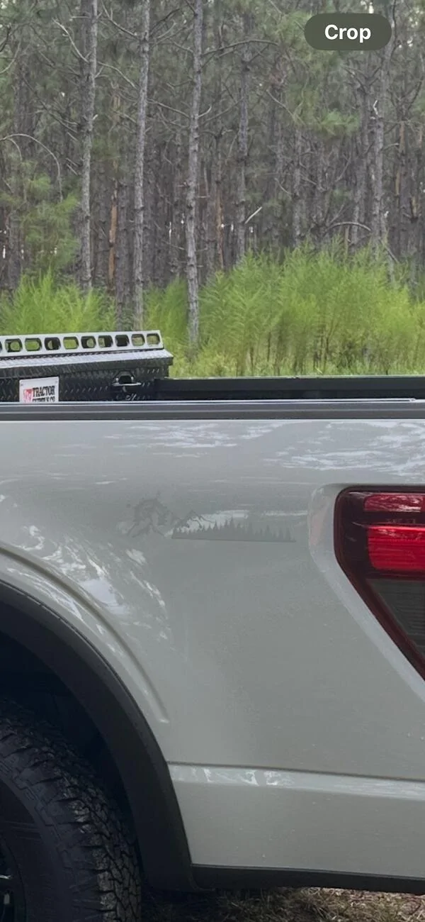 Ford F-150 Added Raptor Style Tailgate Appliqué to BAP IMG_3503