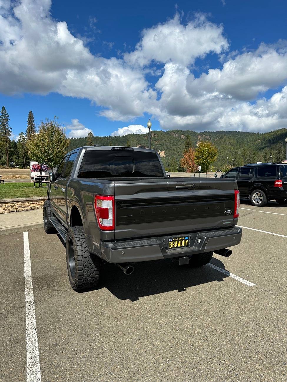 Ford F-150 2023 Carbonized Gray Platinum IMG_3627