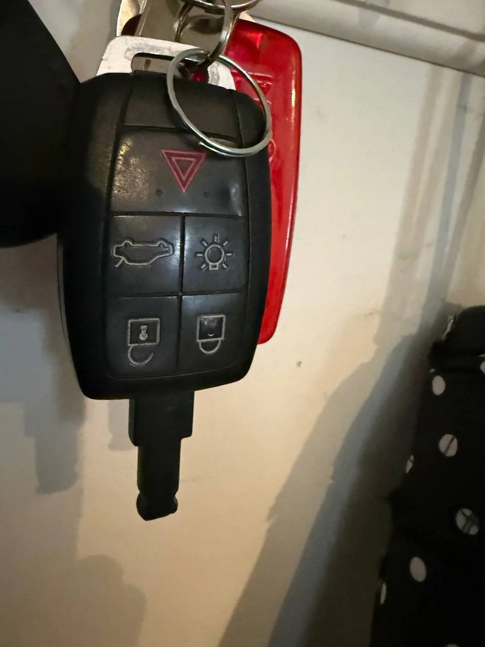 Ford F-150 2009 Volvo S40 make second key IMG_3640