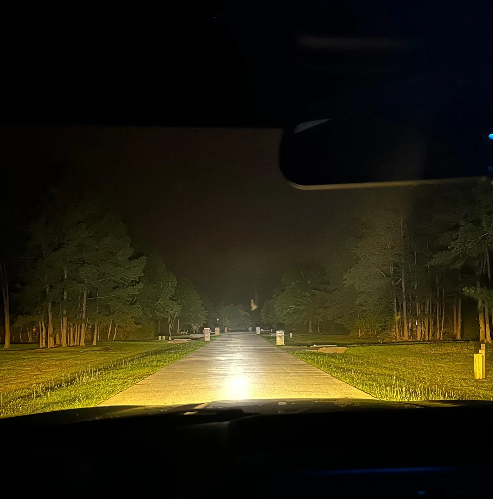 Ford F-150 What did you do TO your F-150 today? 🙋🏻‍♂️ IMG_3664