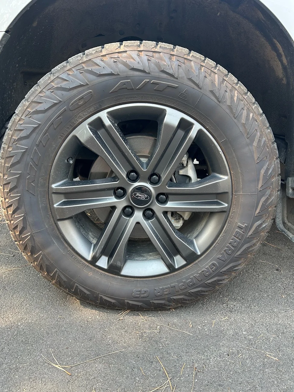 Ford F-150 Anyone using Nitto Terra Grappler G3 tires? IMG_3715