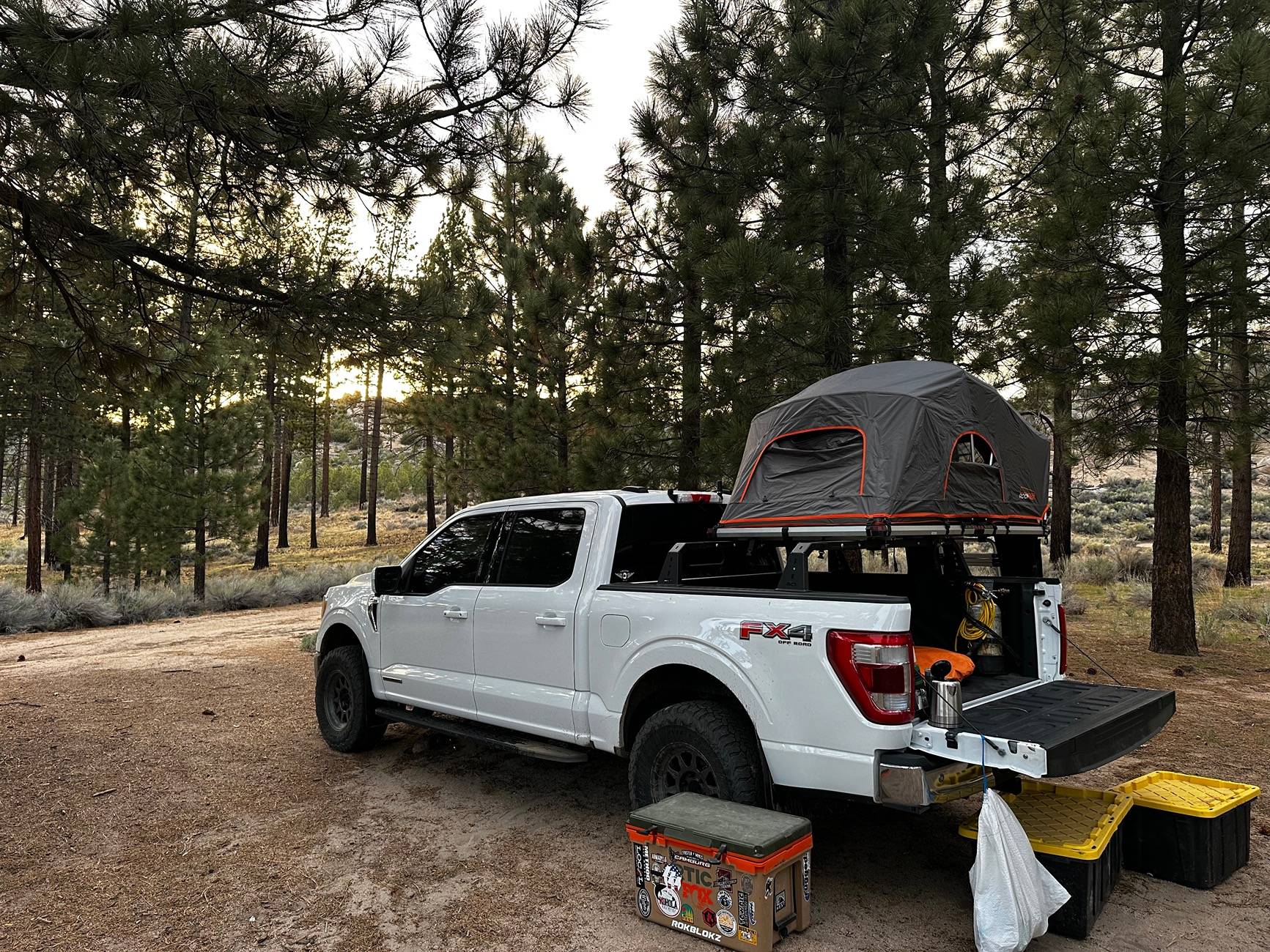 Ford F-150 What did you do WITH your F-150 today? IMG_3751