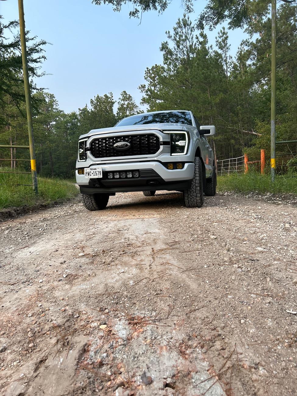 Ford F-150 Front license plate IMG_3787