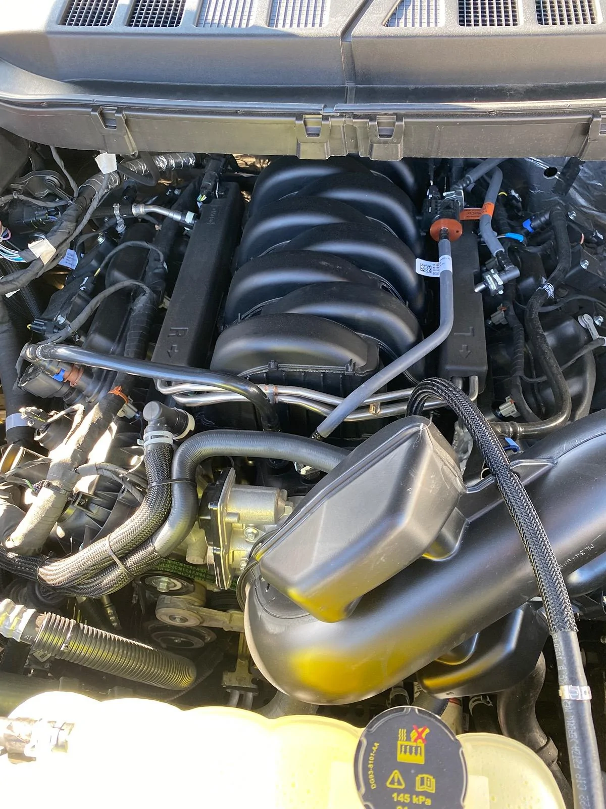 Ford F-150 Random F-150 Photos of the Day - Post Yours! 📸 🤳 IMG_3908