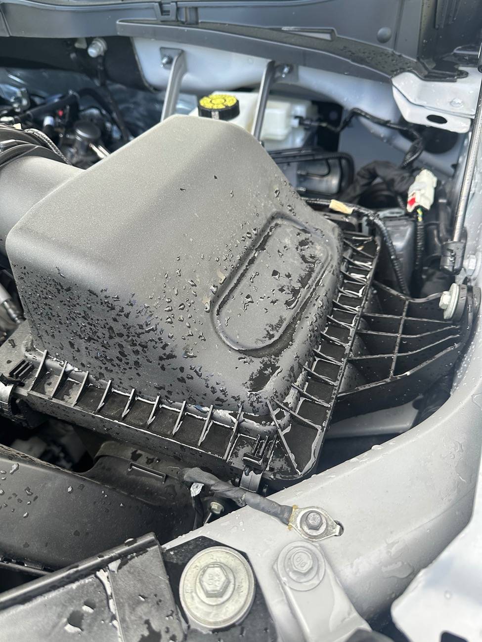 Ford F-150 For those with a cold air intake… IMG_3935