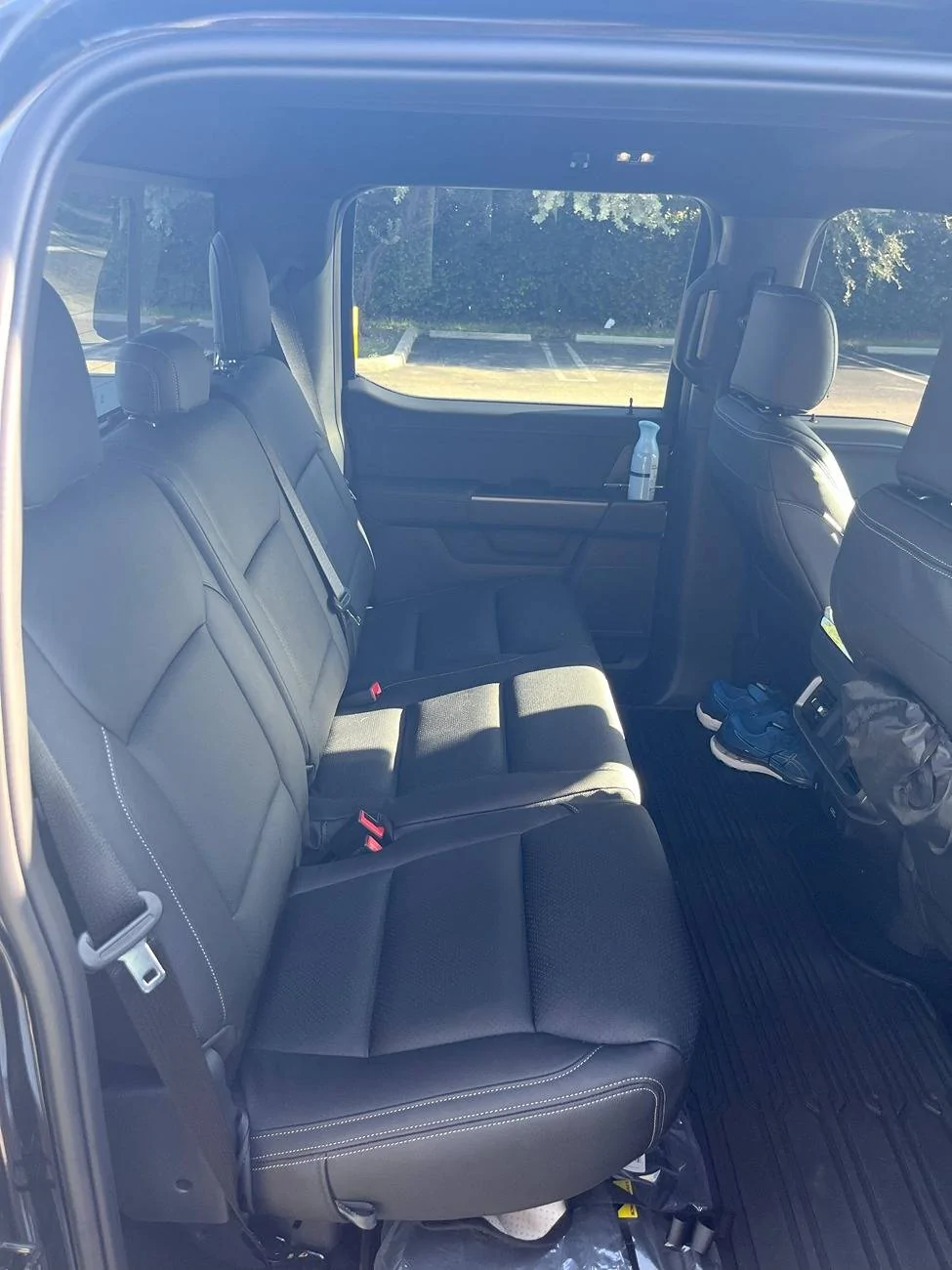 Ford F-150 AGATE BLACK F-150 (2021+) Club IMG_3944