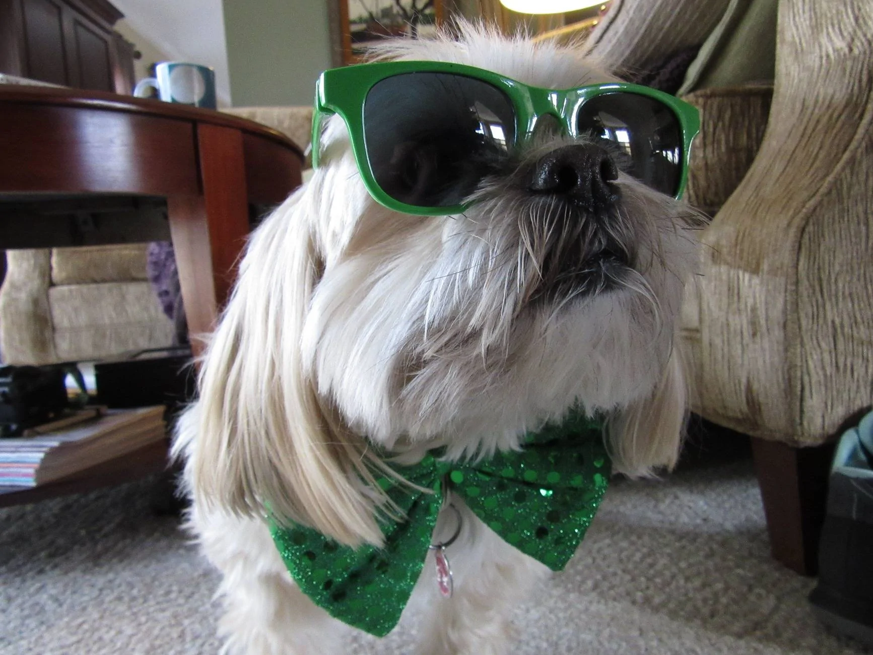 Ford F-150 10r80 failure IMG_4093