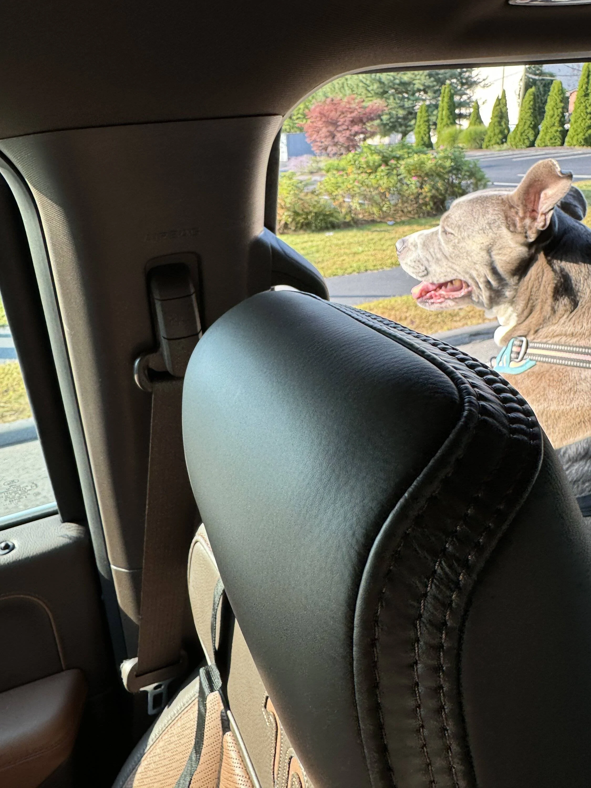 Ford F-150 2024 King Ranch 157" WB Powerboost first weeks impressions IMG_4234