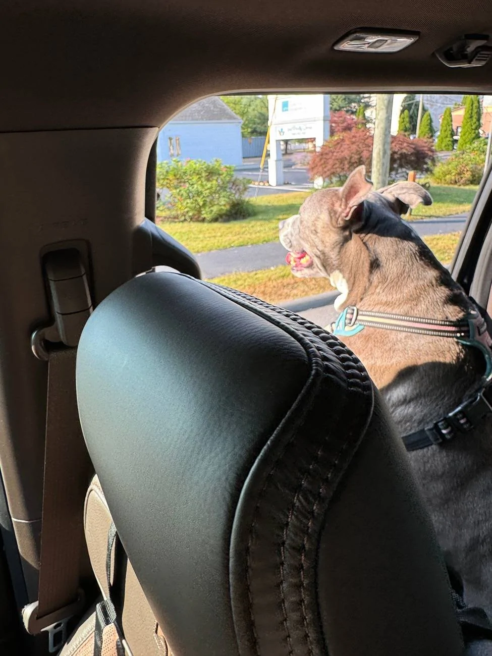 Ford F-150 2024 King Ranch delivery trip ... another happy Granger customer! IMG_4235