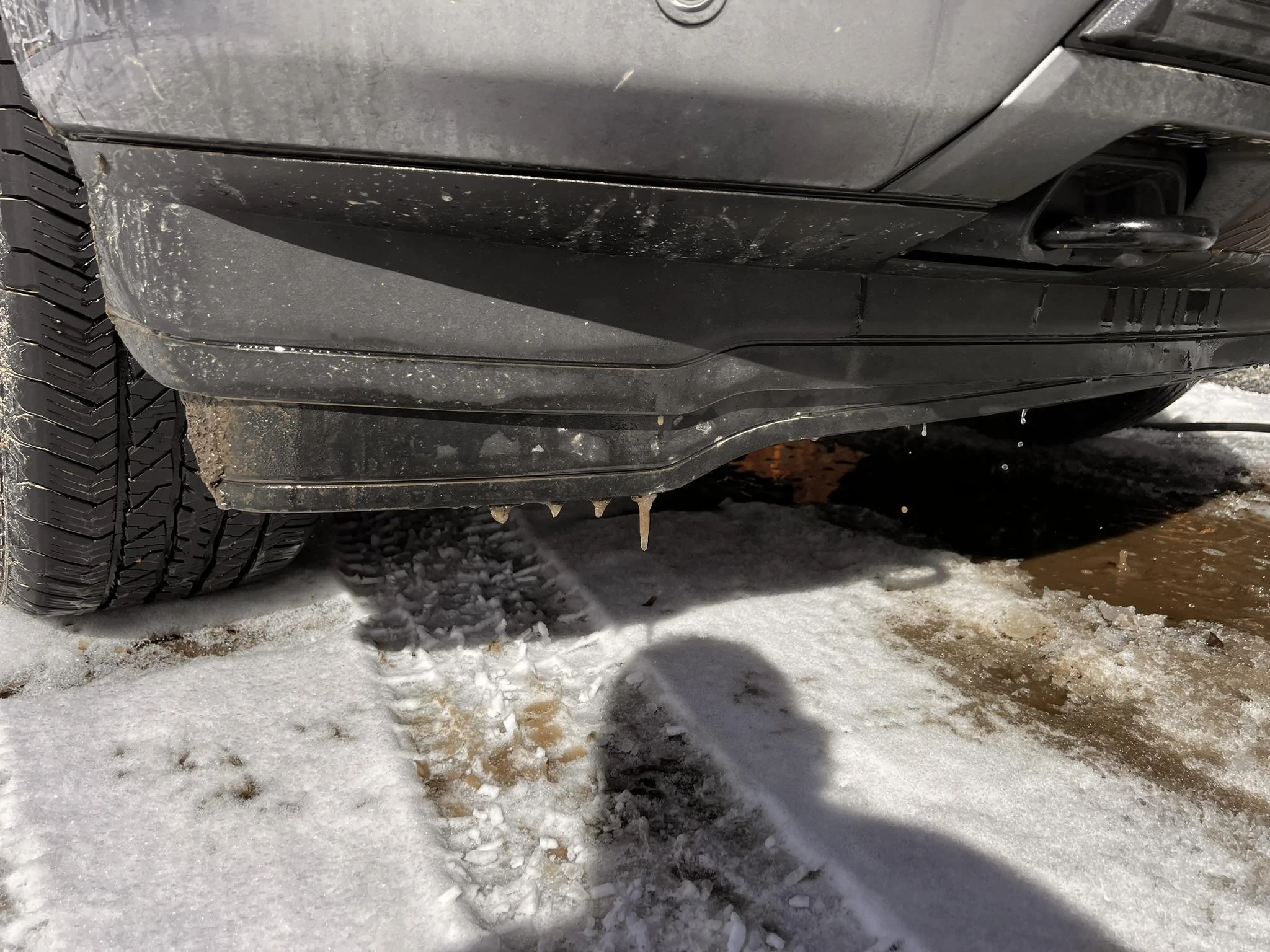 Ford F-150 Disable Active Air Dam via Forscan IMG_4358