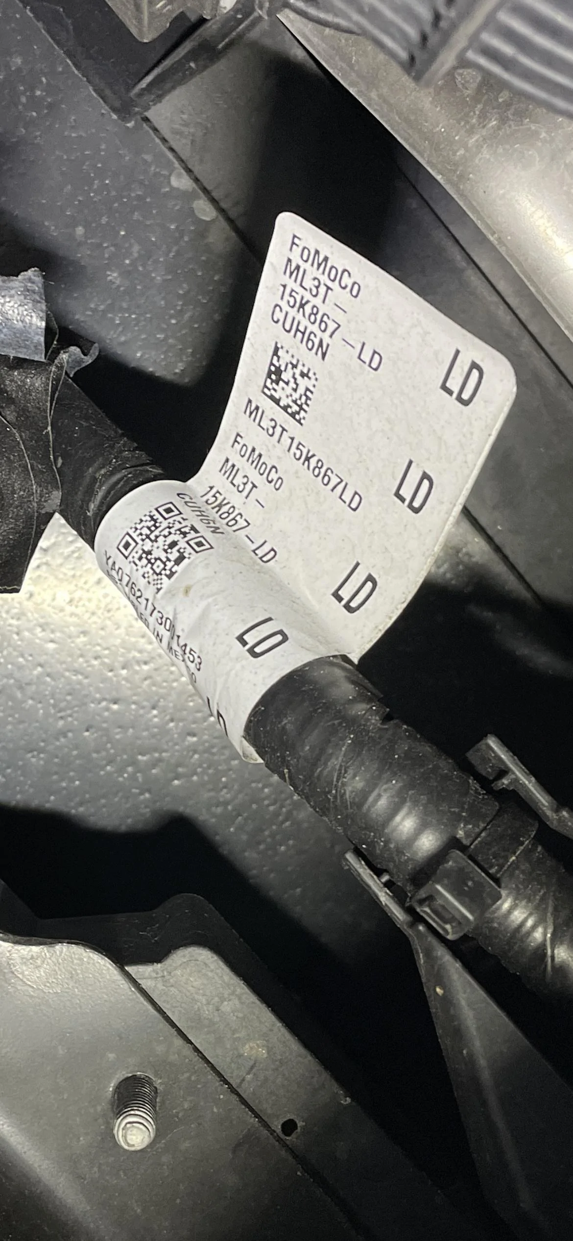 Ford F-150 Adding Co-Pilot Assist 2.0 with Forscan? IMG_4368