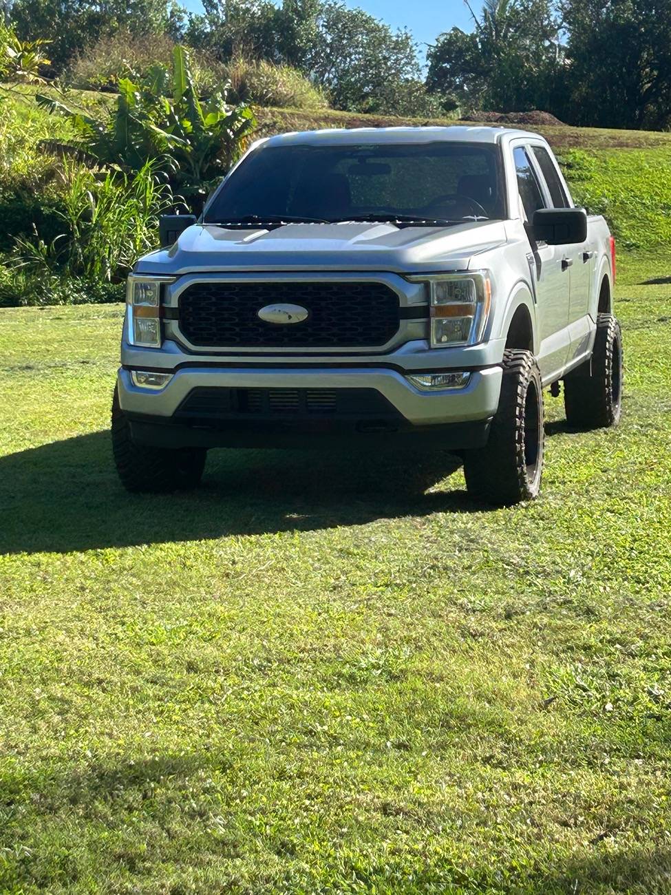 Ford F-150 ICONIC SILVER F-150 (2021+) Club IMG_4441