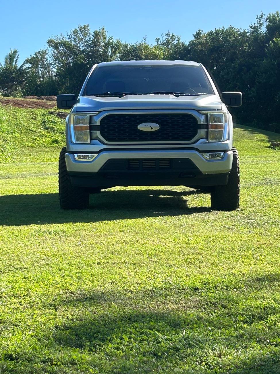 Ford F-150 How do you guys feel about the Orange IMG_4442