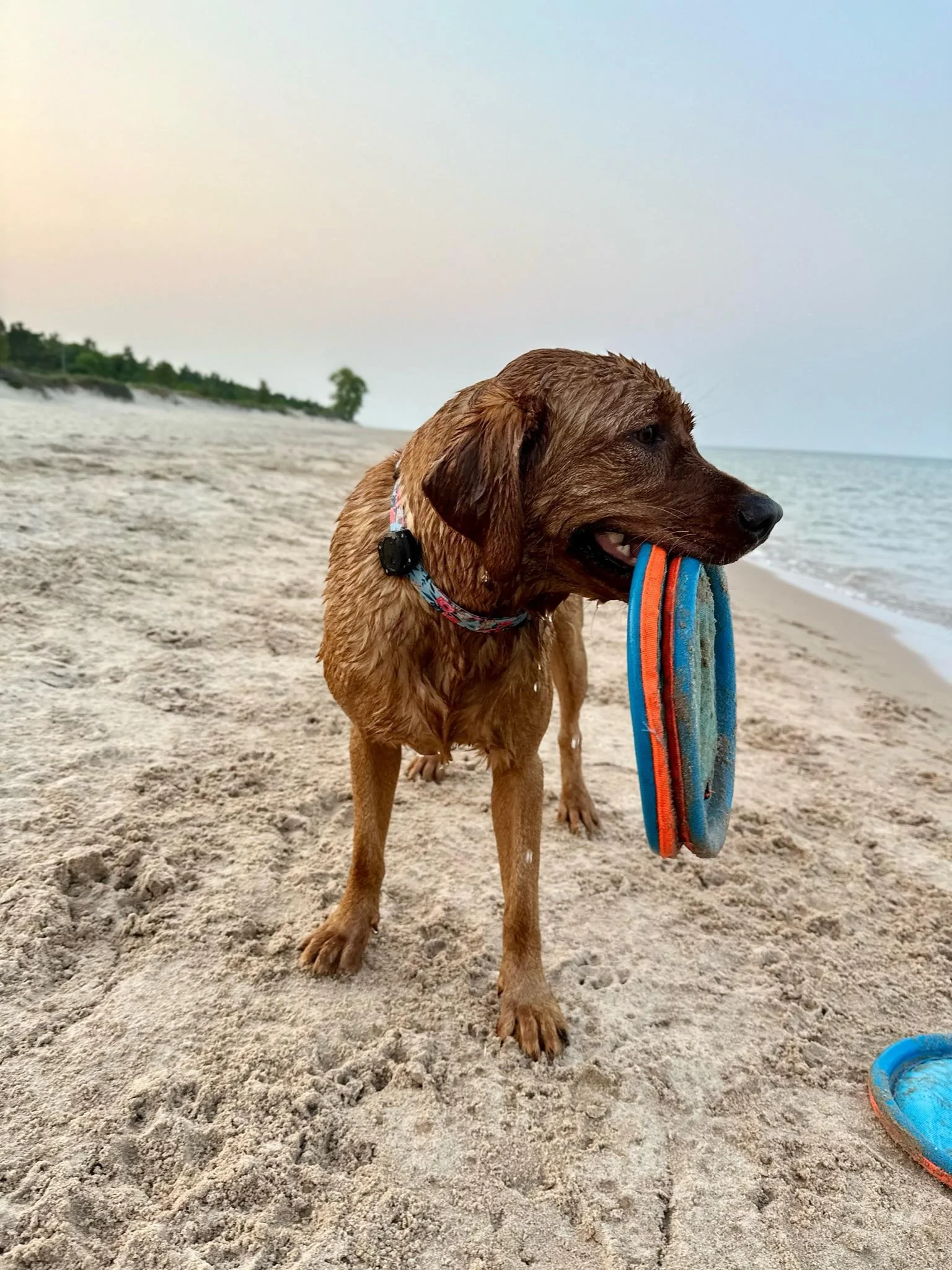 Ford F-150 First road trip in ‘23 Powerboost: Two dogs, 2 kids and 1506 miles of driving = Awesome trip! IMG_4461