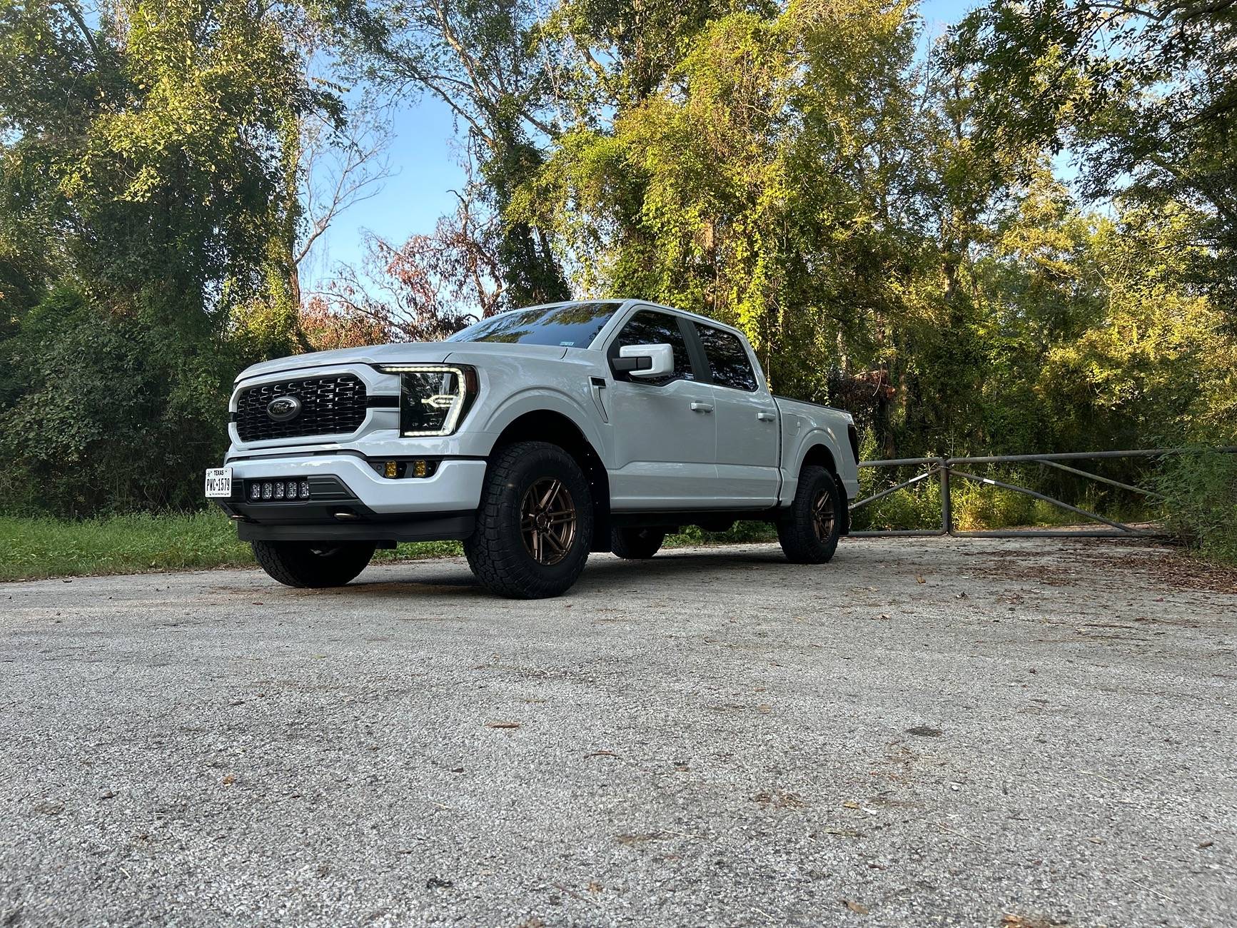 Ford F-150 Exterior lights - what are you running? IMG_4468