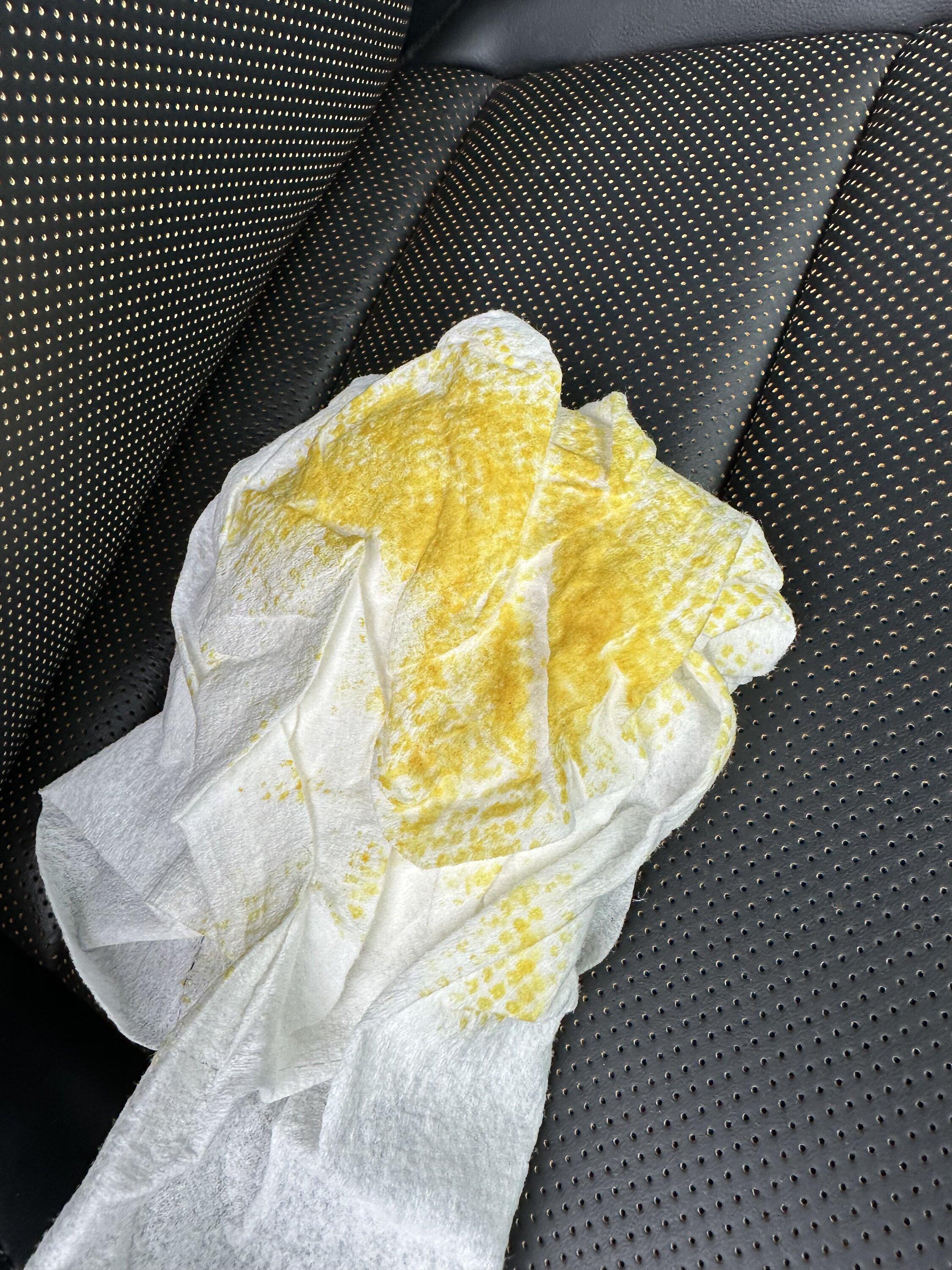 Ford F-150 Tremor Seats and some Florida rain IMG_4493