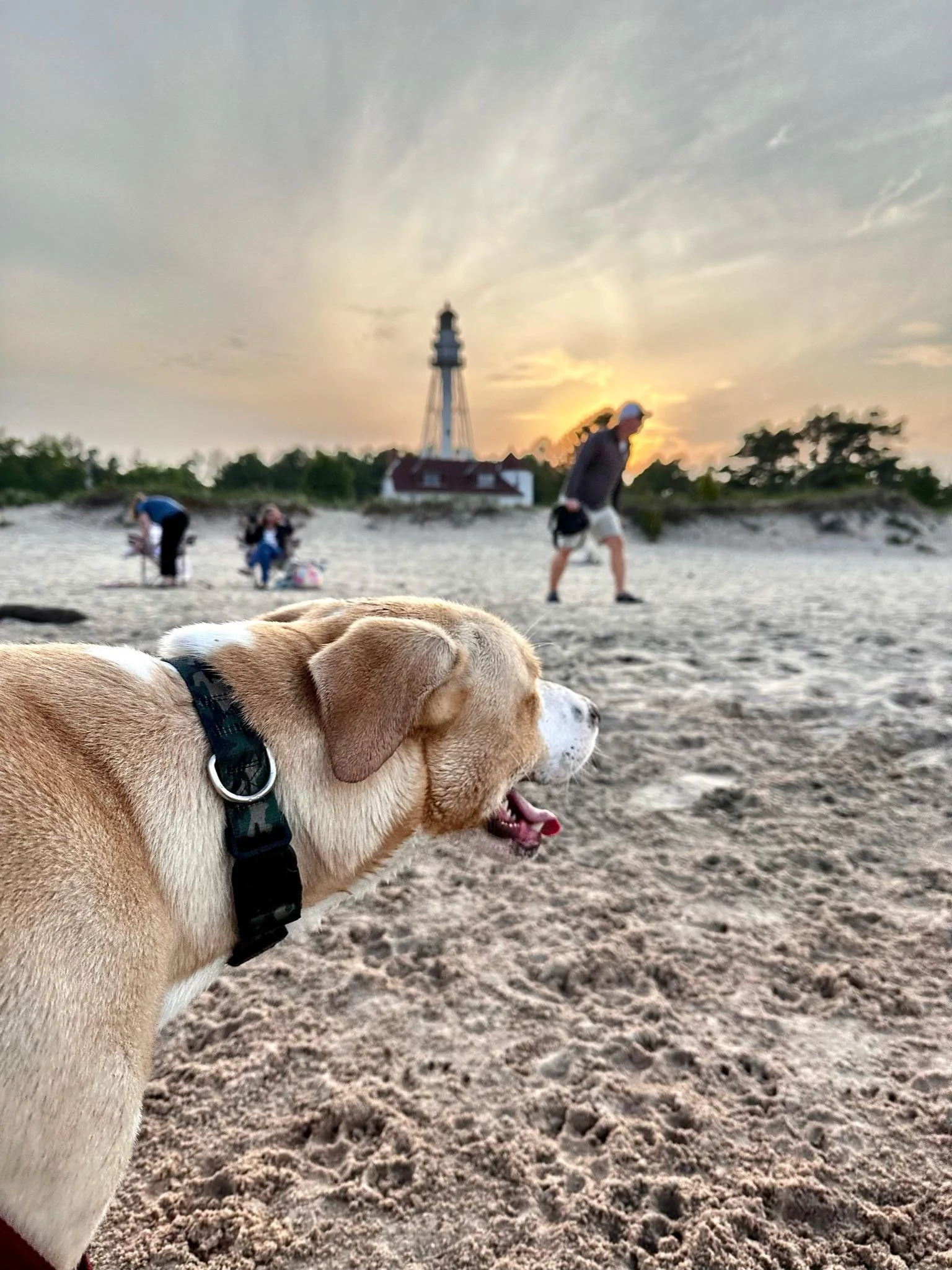 Ford F-150 First road trip in ‘23 Powerboost: Two dogs, 2 kids and 1506 miles of driving = Awesome trip! IMG_4511