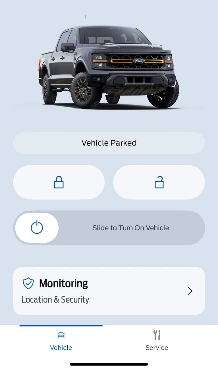 Ford F-150 Tremor Rake - We All See It IMG_4523