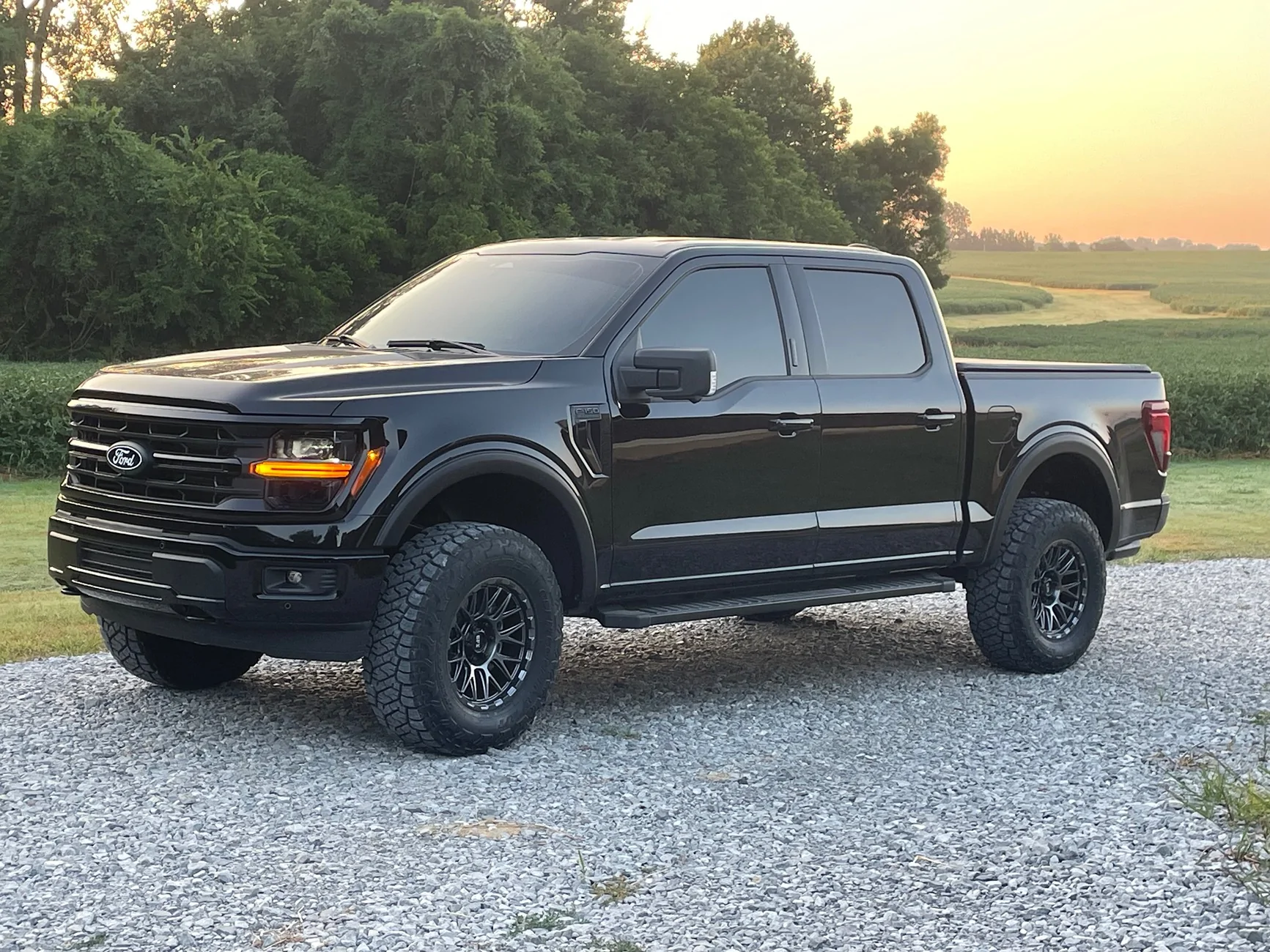 Ford F-150 rims and tires IMG_4550