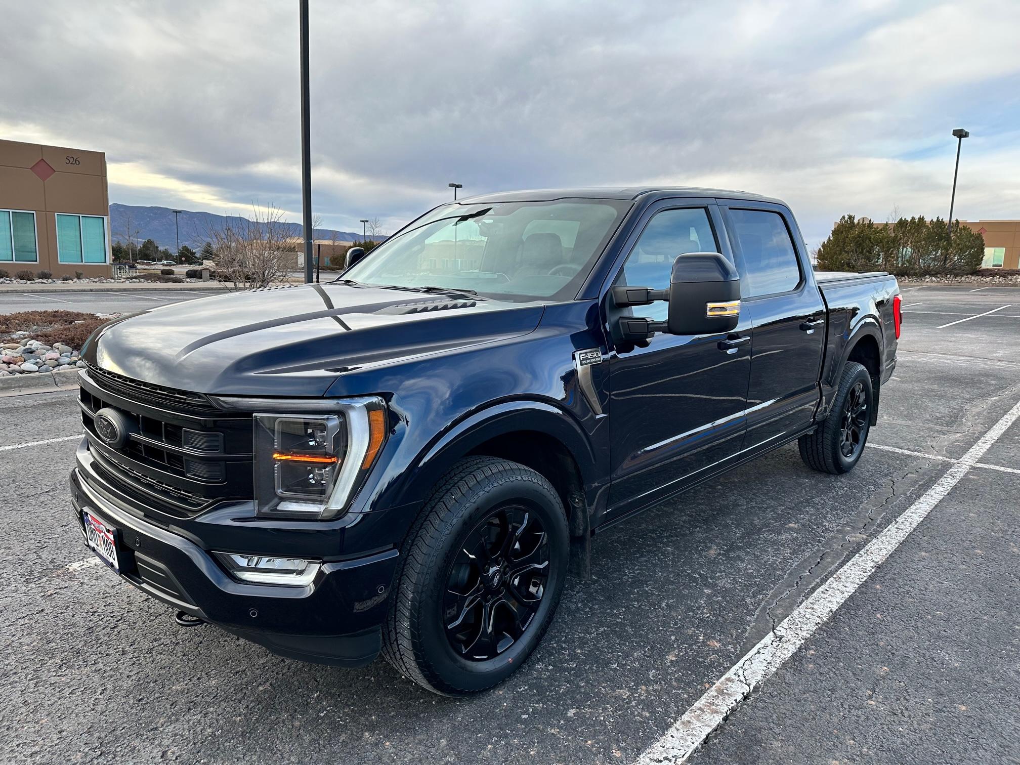 Ford F-150 Tow Mirror Caps IMG_4587