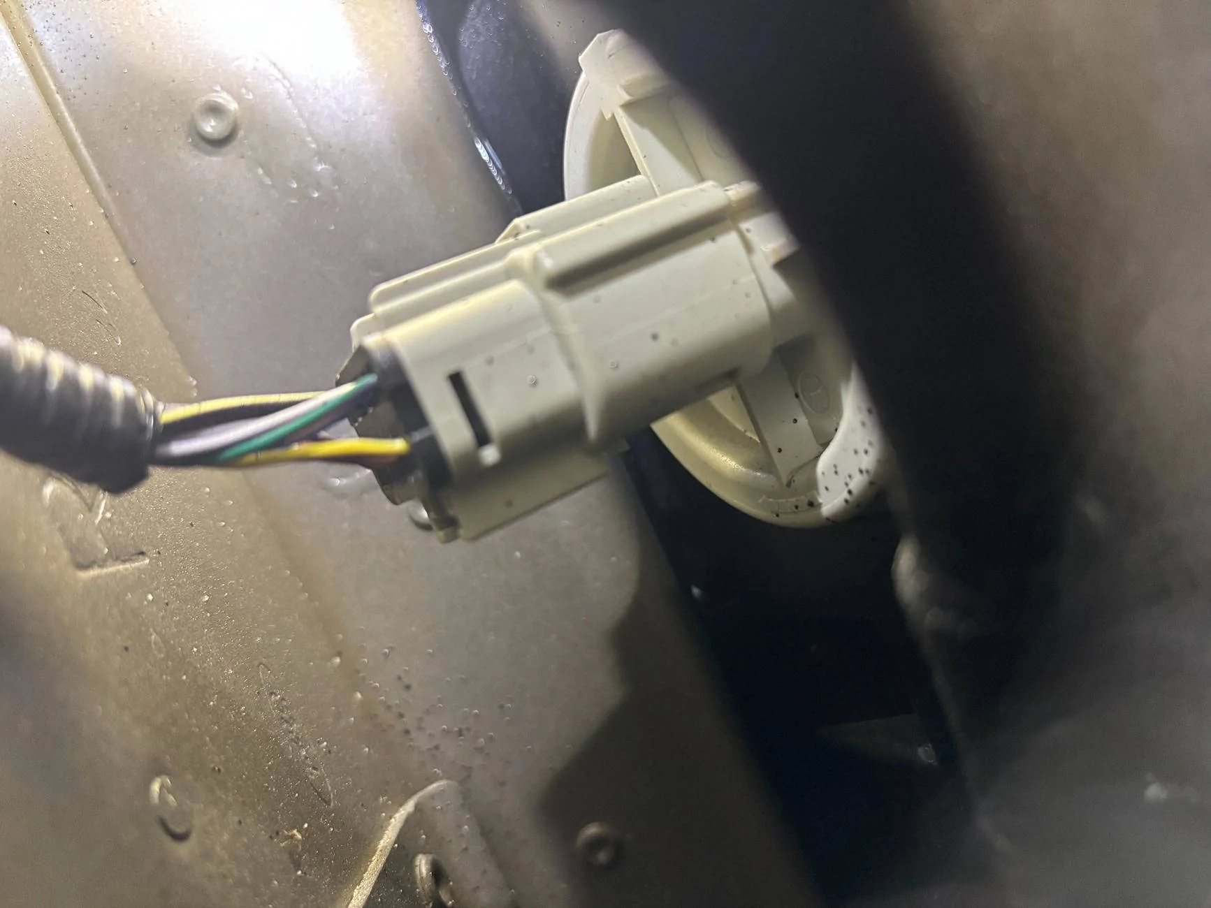 Ford F-150 Anyone install 2024 OEM LED bed lights IMG_4641