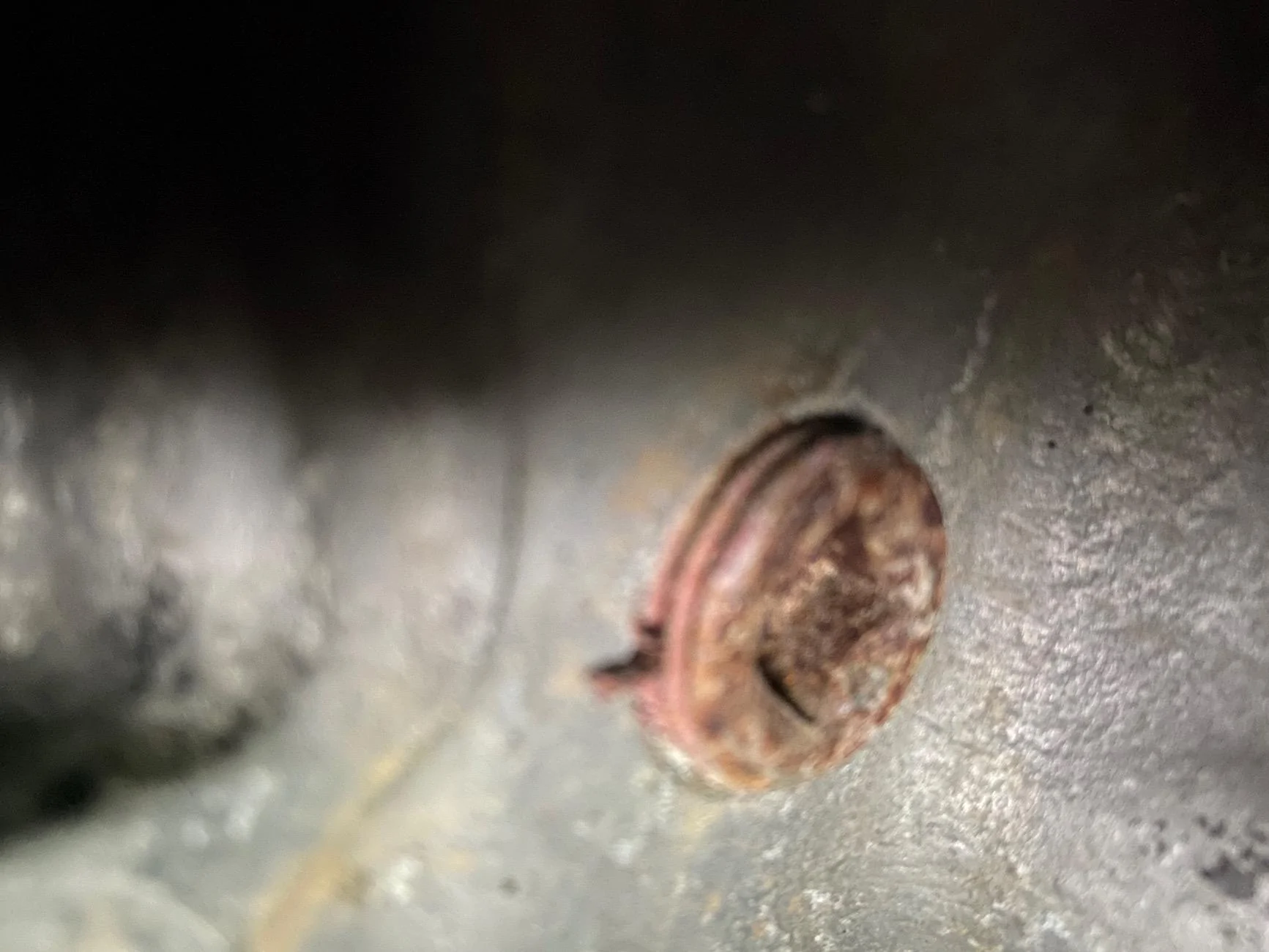 Ford F-150 Front Differential IMG_4666