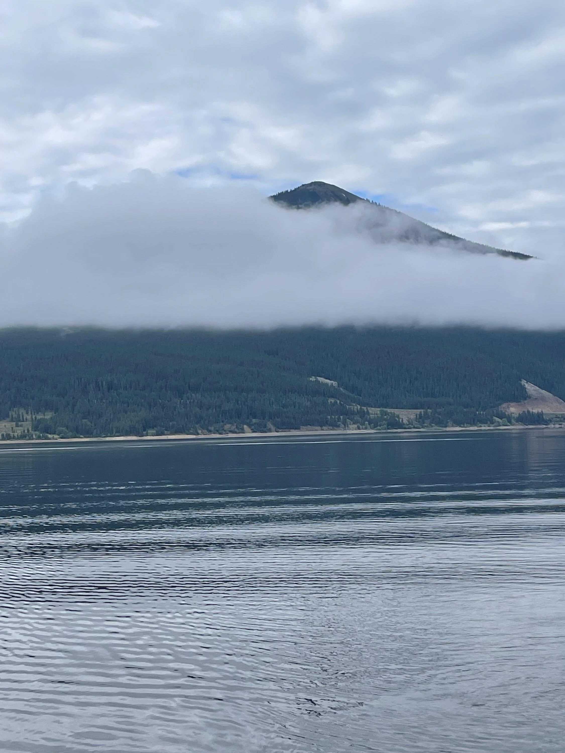 Ford F-150 Camping at Taylor Park Colorado with the Powerboost IMG_4805