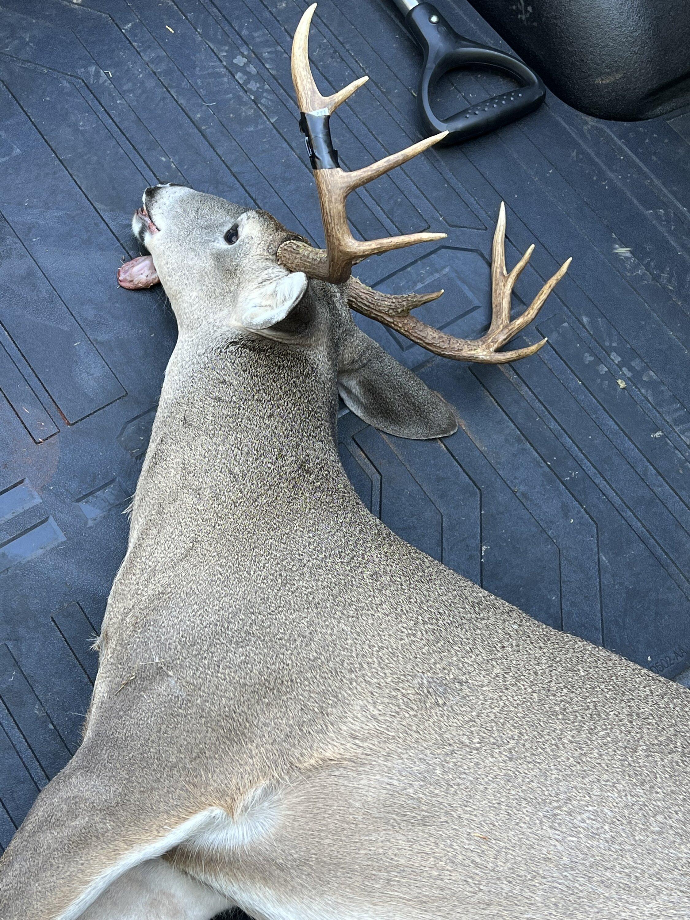 Ford F-150 Let's see those hunter success stories- truck beds with trophies. Share your hunt bounty... IMG_4933