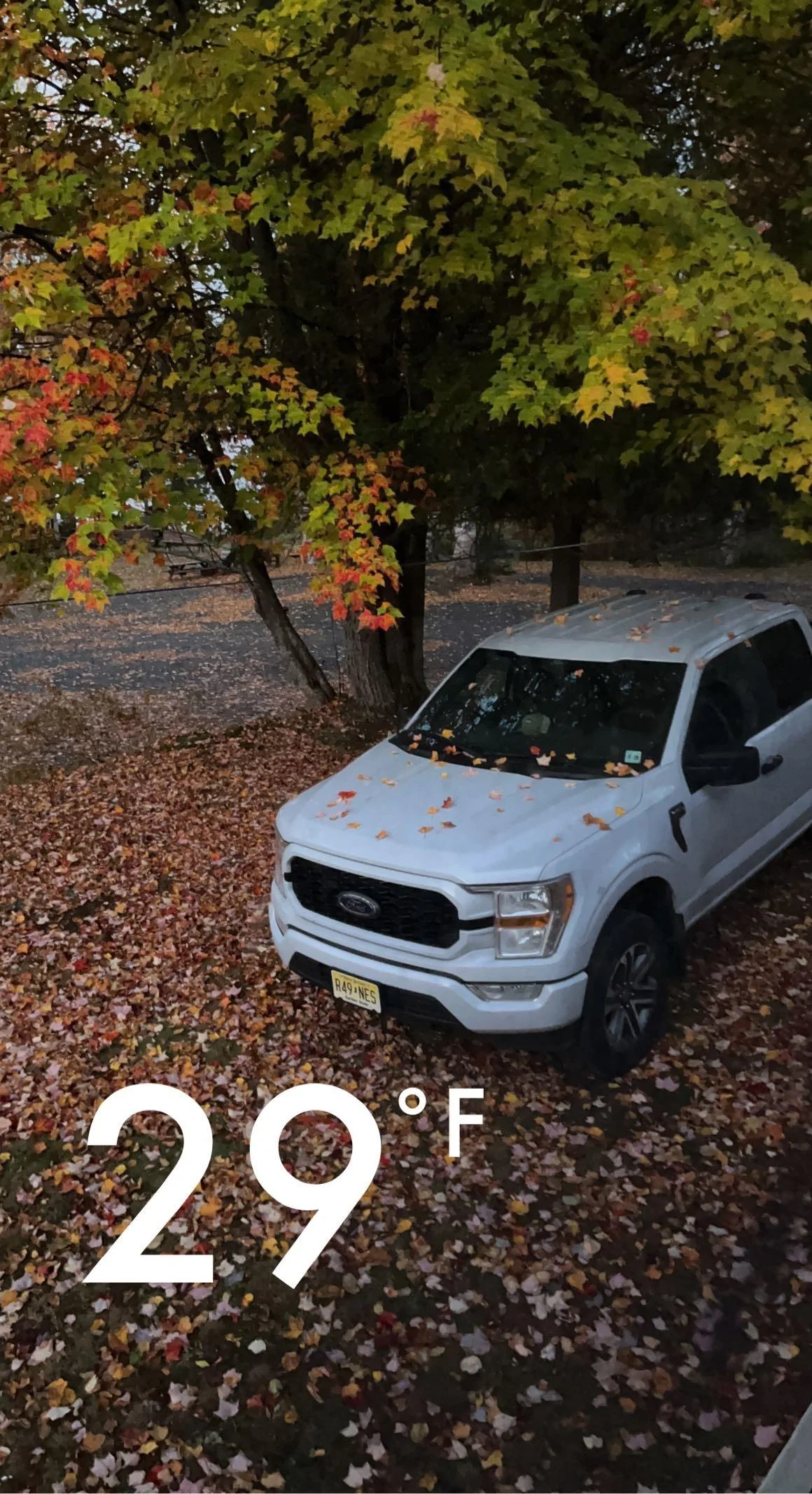 Ford F-150 Fall 2022 Truck Pics - Post Em! IMG_4954