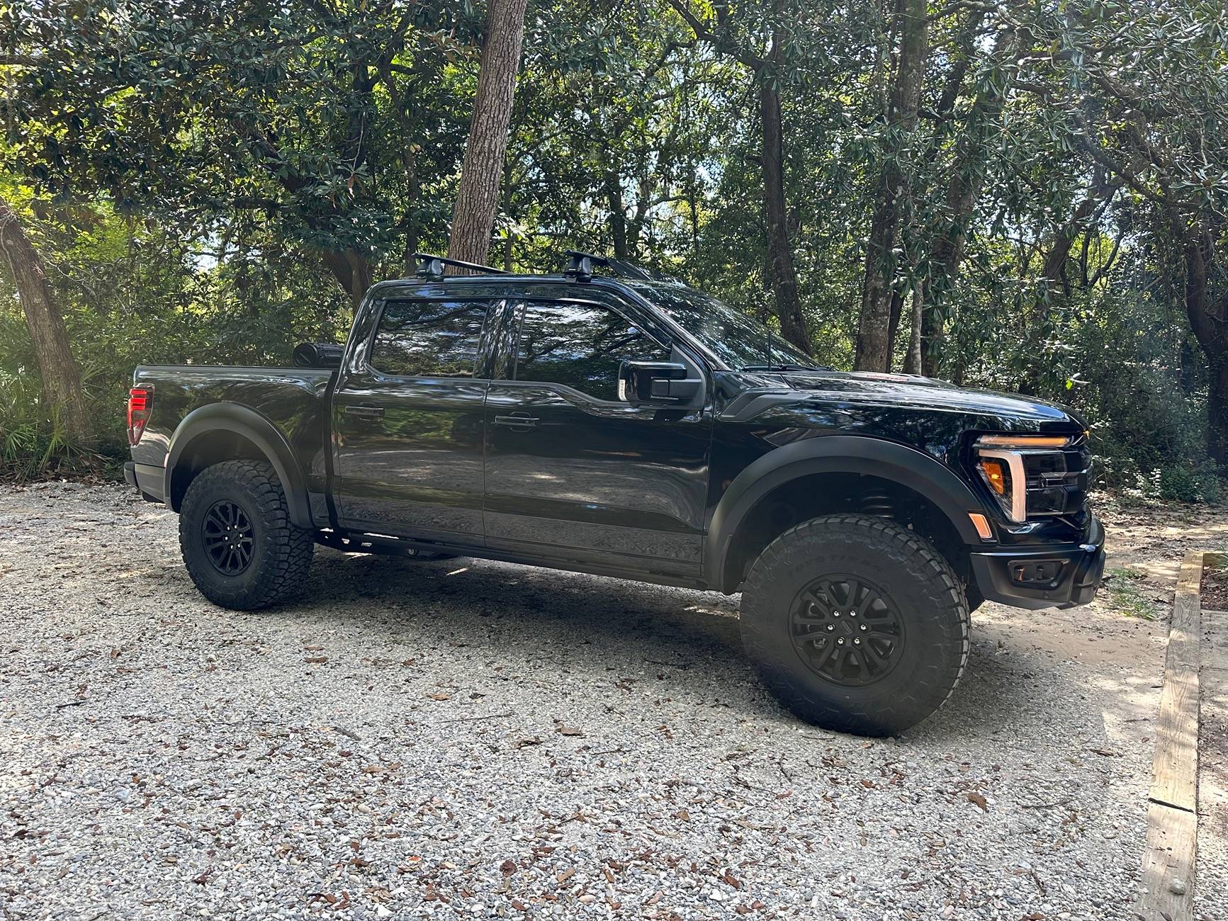 Ford F-150 Blacked Out F-150s... Let's See Em! IMG_4978